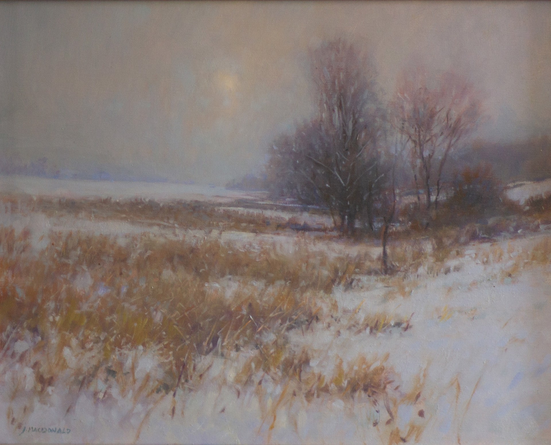 Flurries, January Dusk by John MacDonald