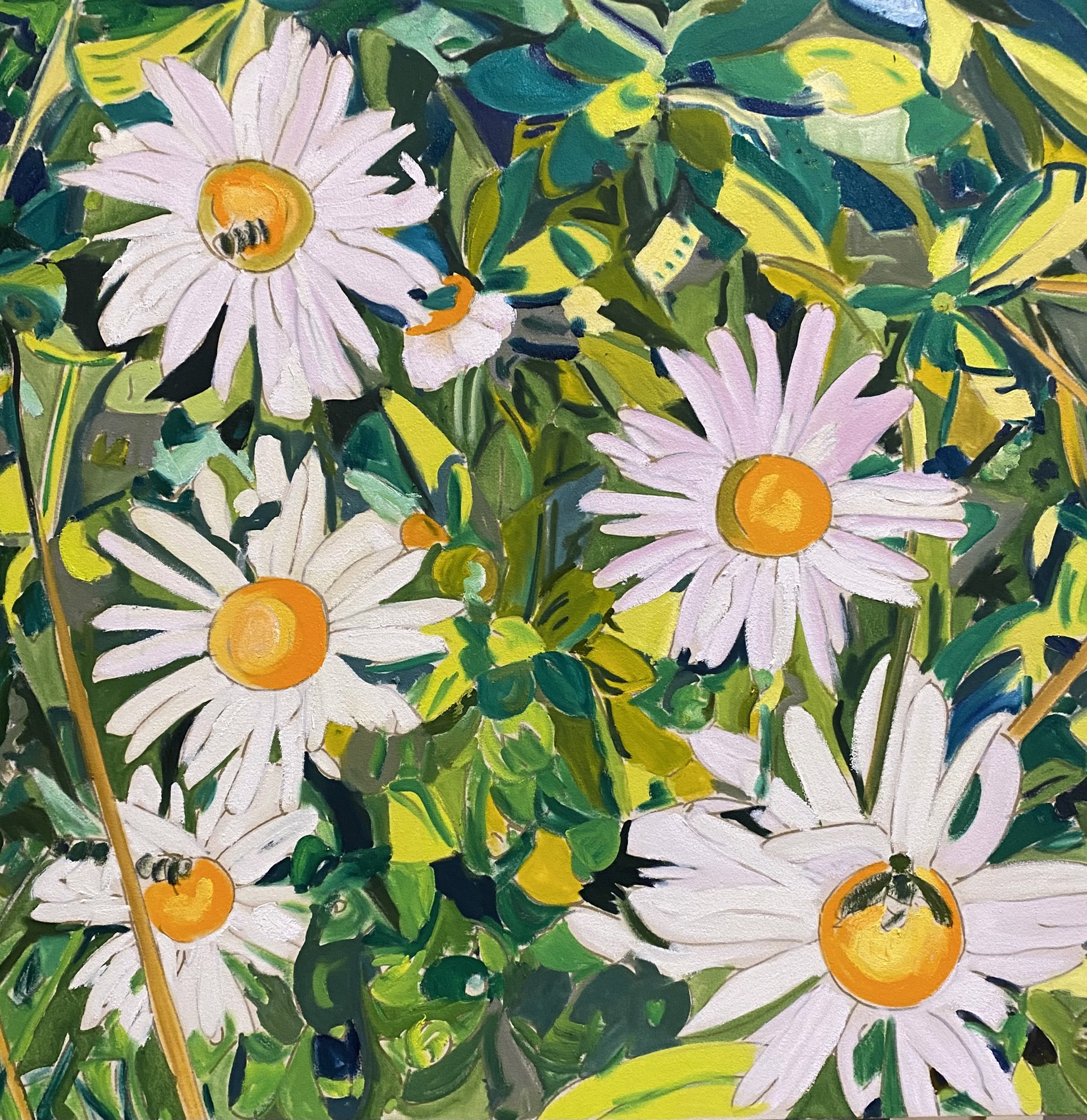 Pollinating Daisy's by Maggie Bandstra