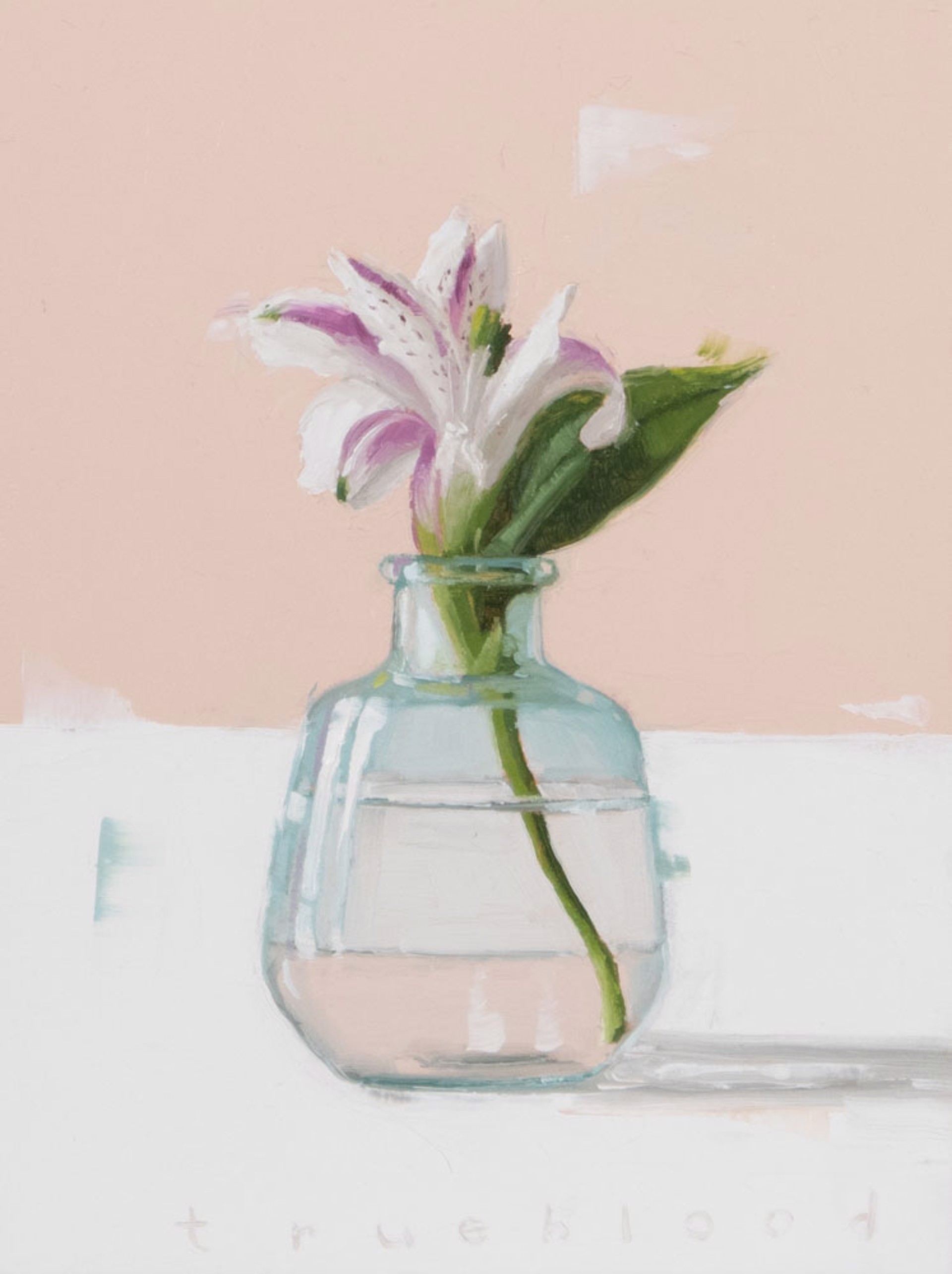 Peruvian Lily by Megan Trueblood