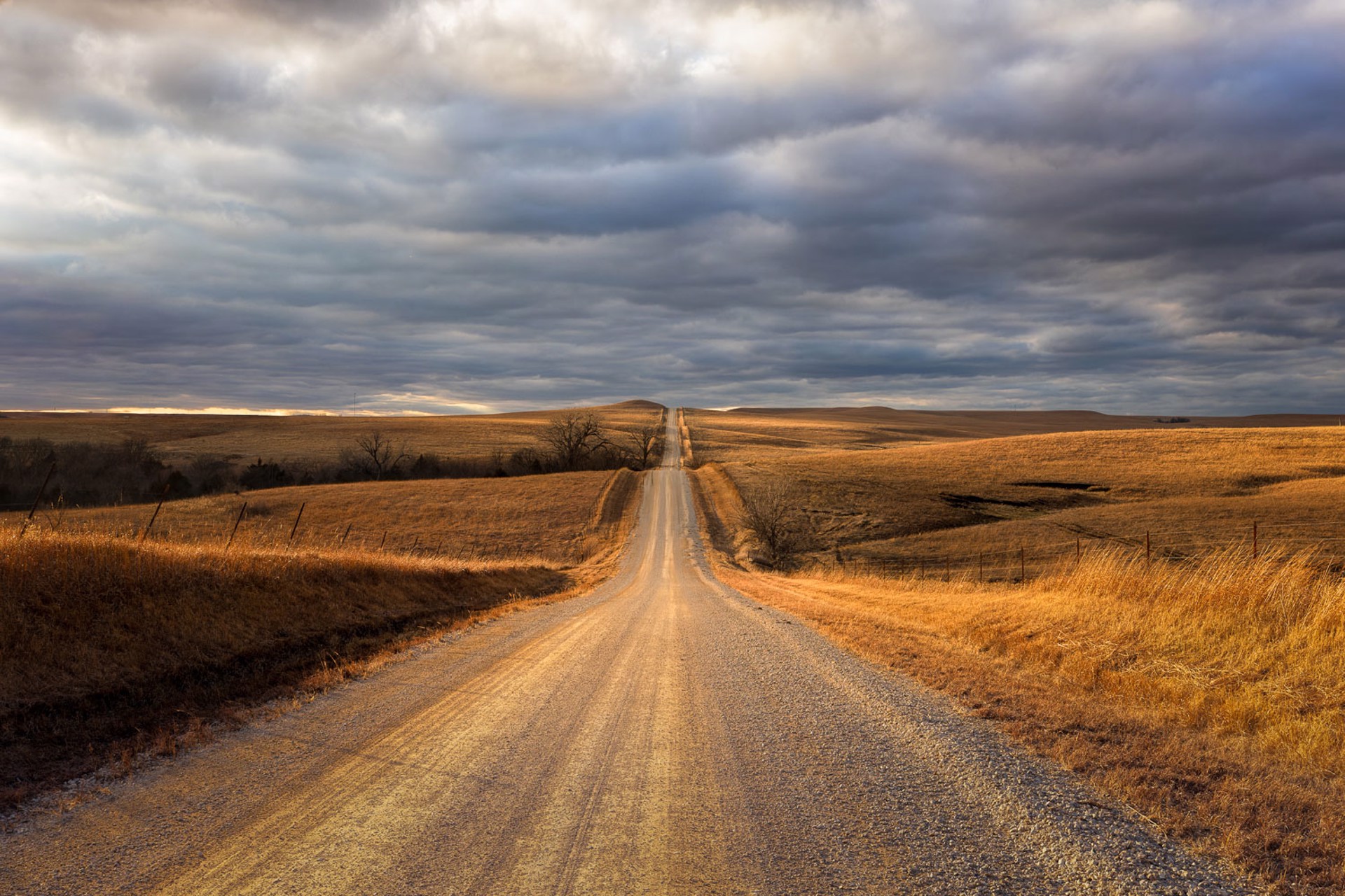 The Road Forward by Scott Bean