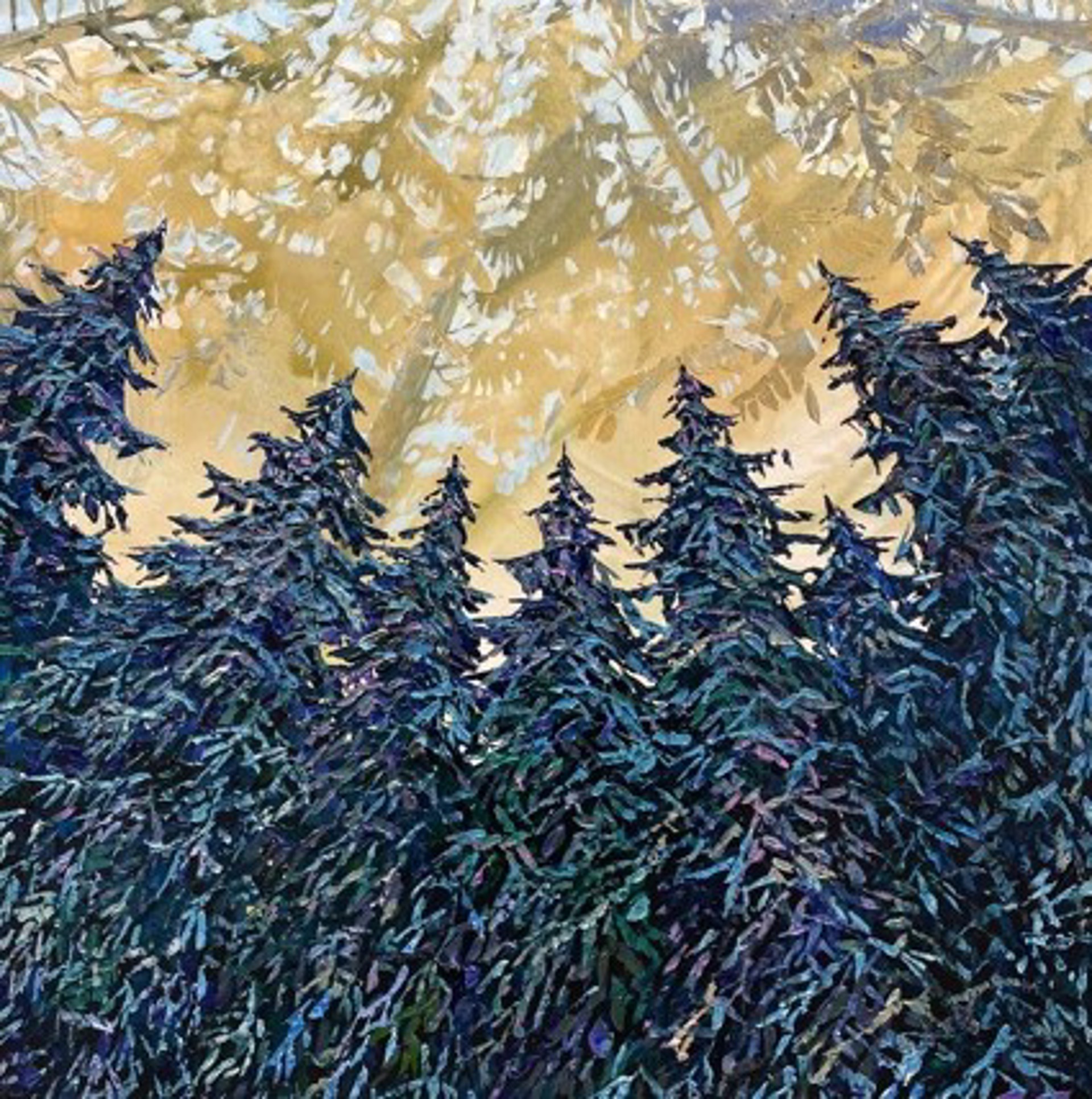 Looking Up Pines by Maya Eventov