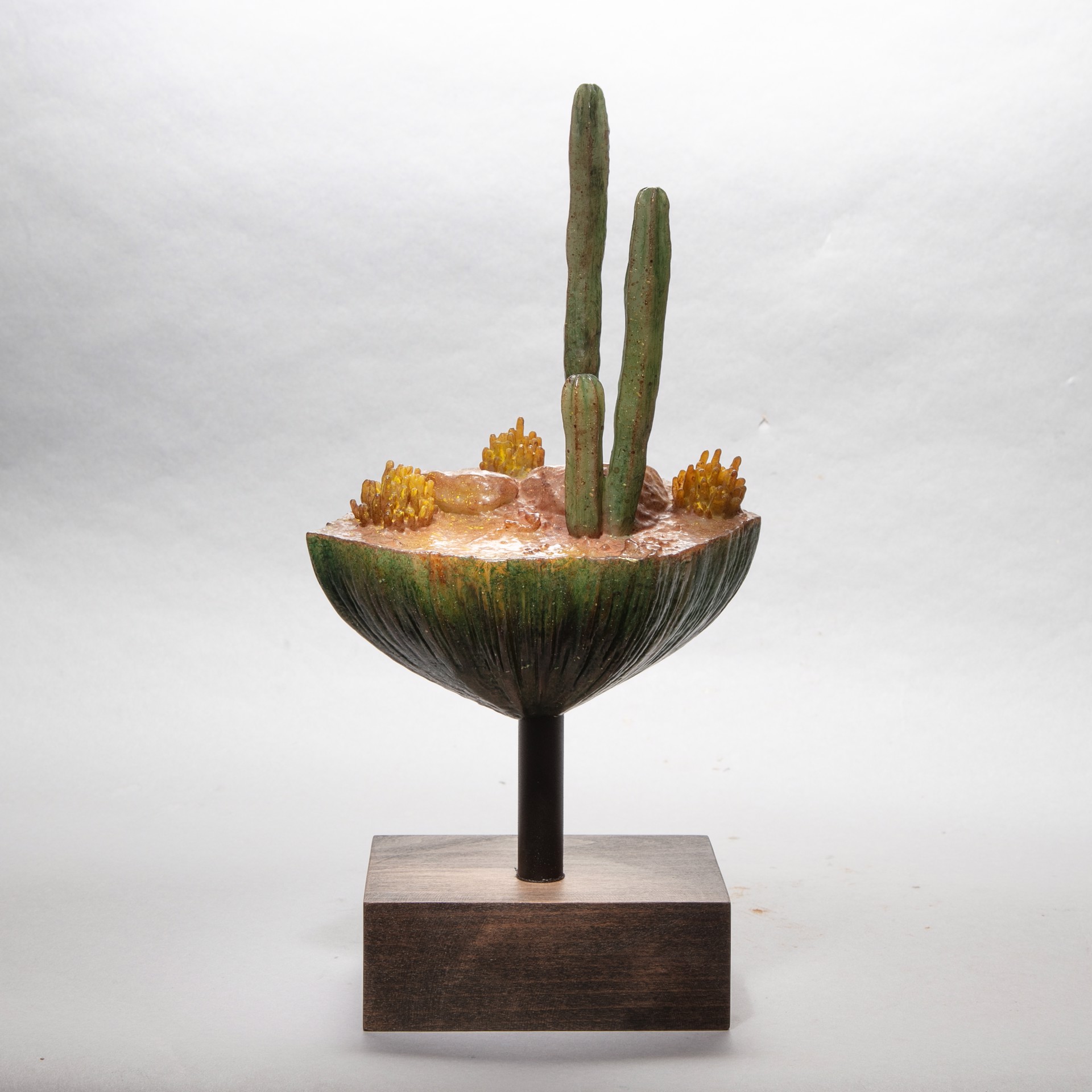 SOLD, Specimen #5 - Sonoran desert sample in resin by Dana Younger