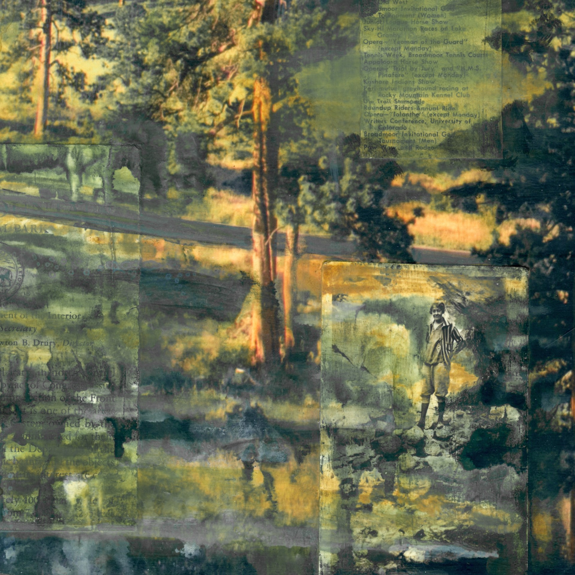 Among the Trees by JC Spock