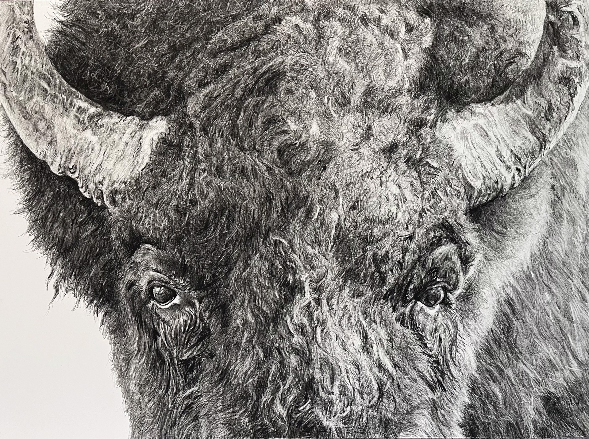 Bison Head by Larry Layton