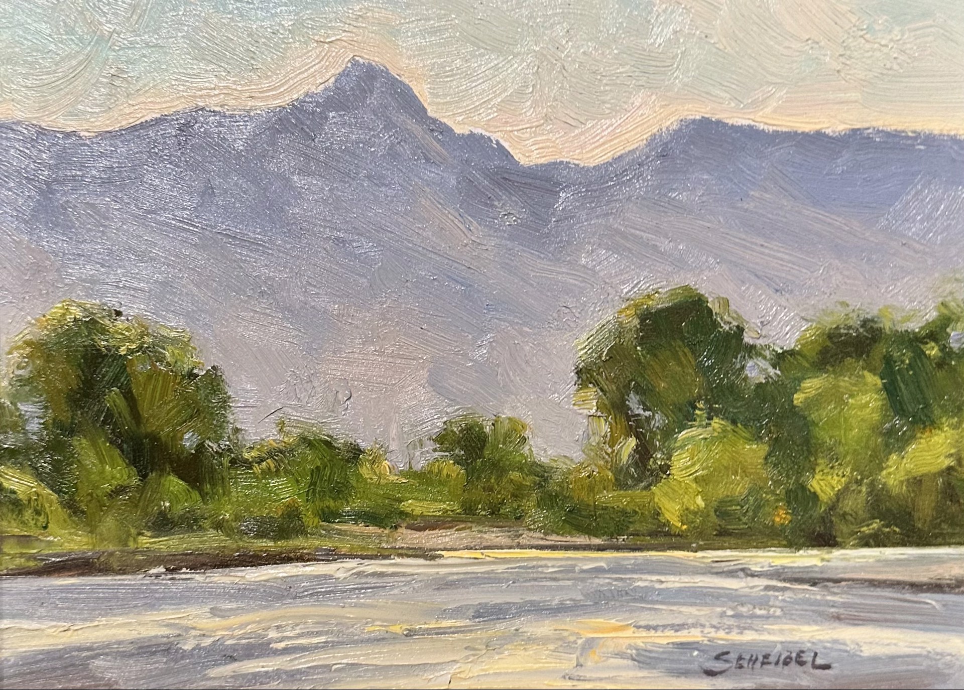 LOWER GALLATIN STUDY by Greg Scheibel