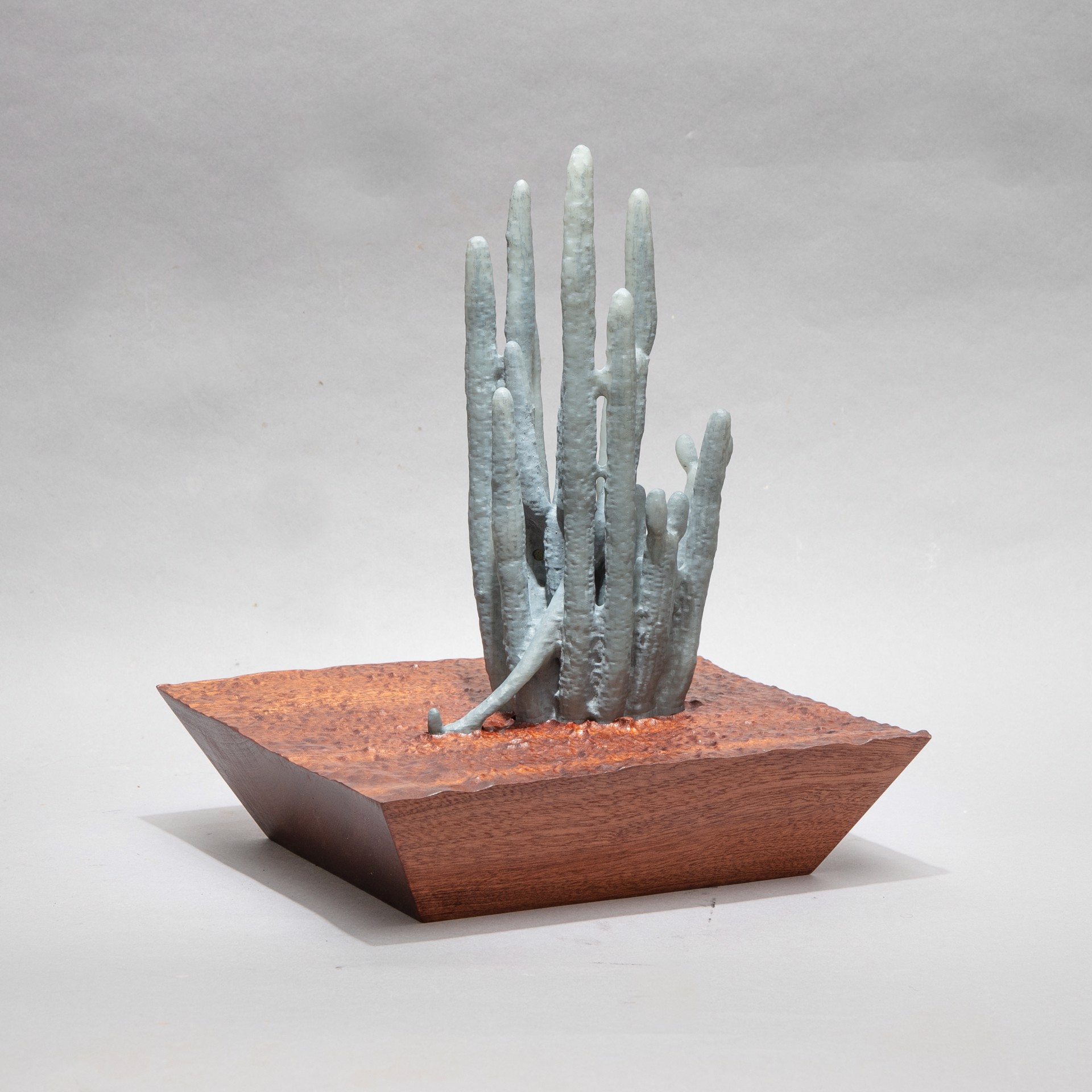 Specimen #8 - Organ pipe cactus in resin with sipo mahogany environment by Dana Younger