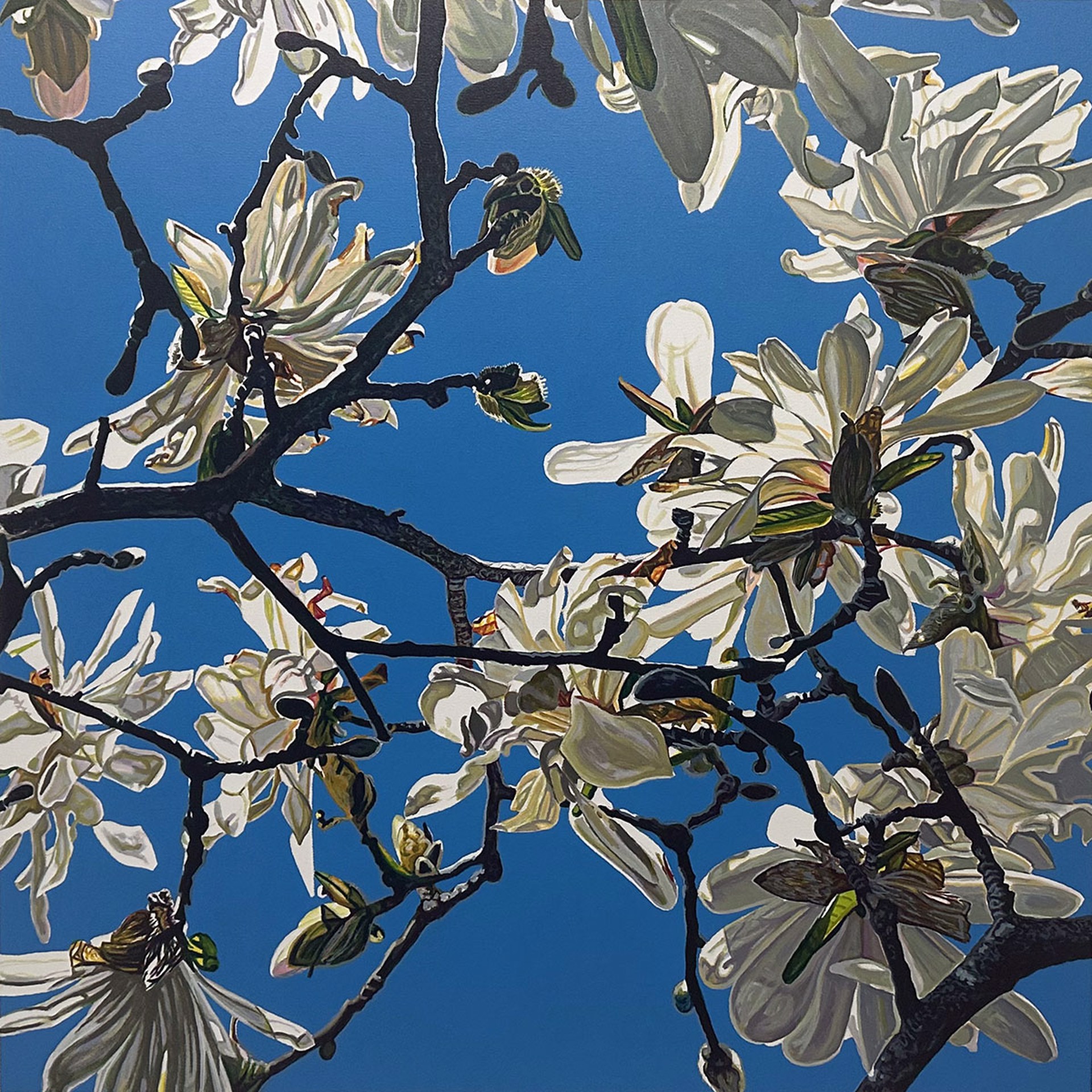 Magnolia Composition No. 3 by Christopher O'Connor