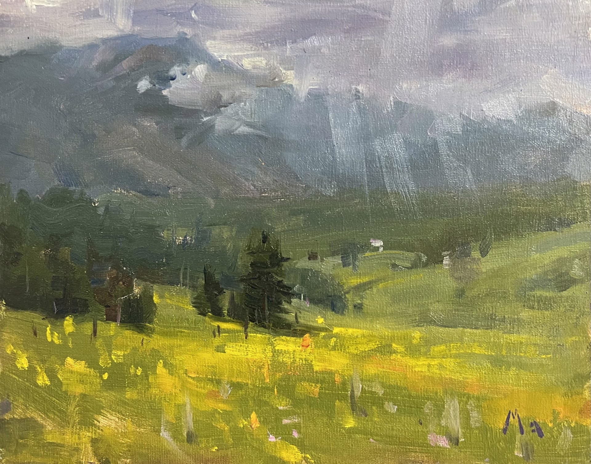 Afternoon Shower in Crested Butte by Kyle Ma