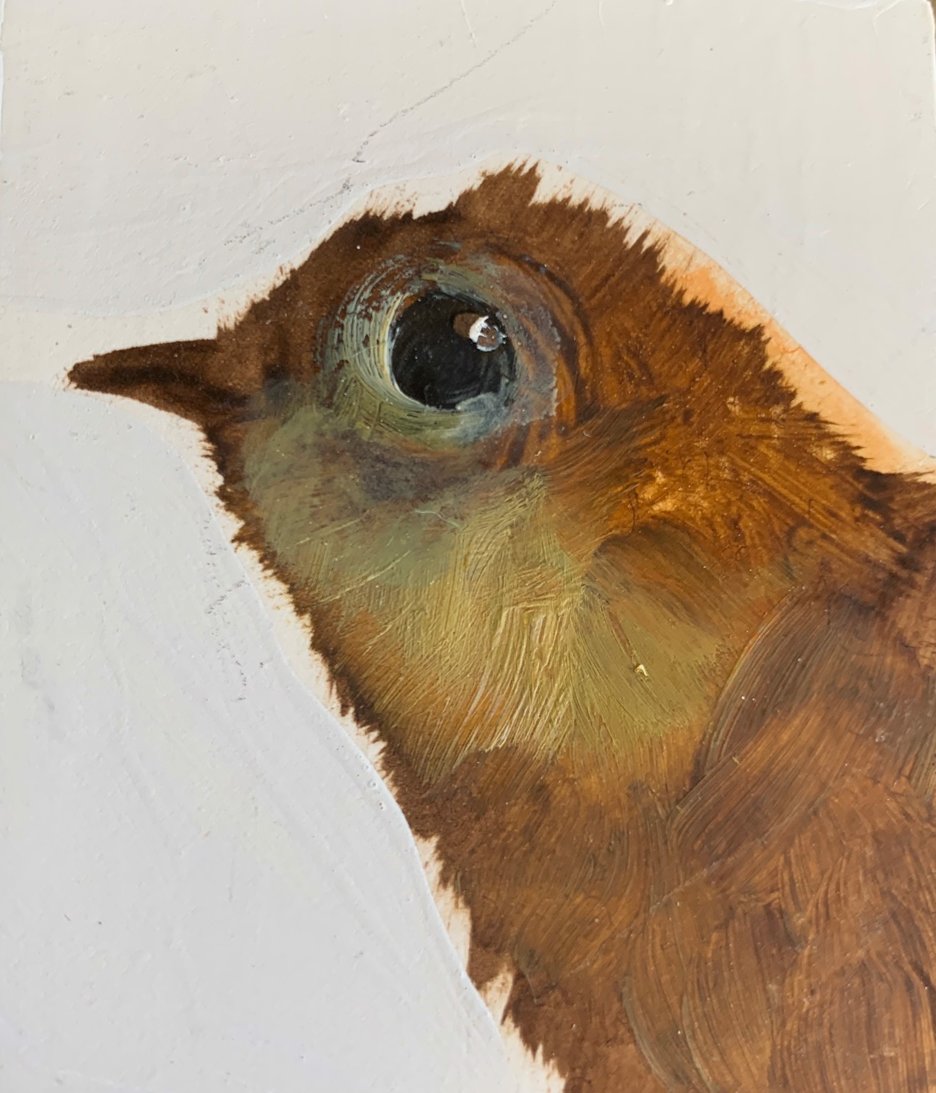 Little Bird #3 by Diane Kilgore Condon