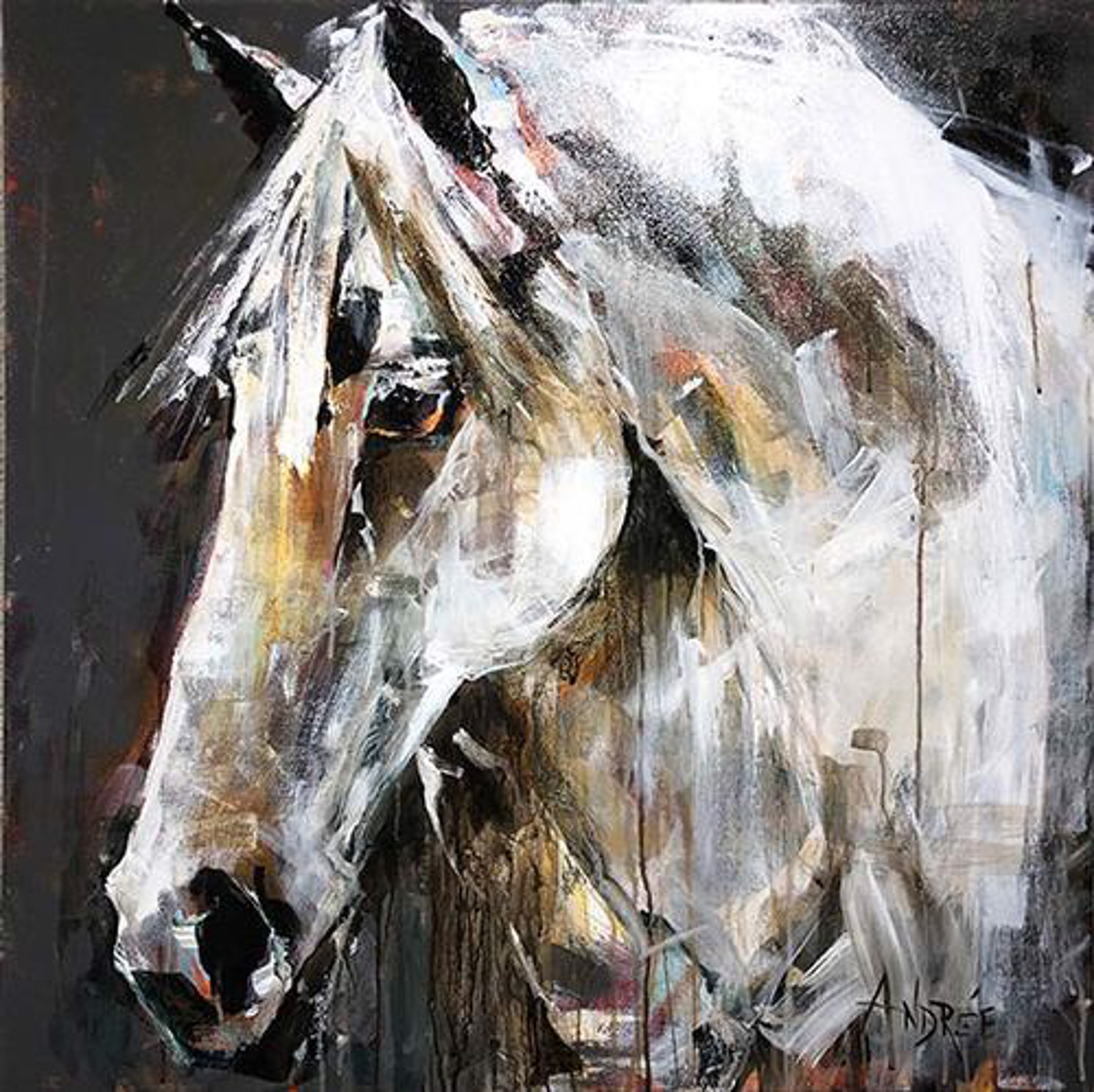 White Horse By Andrée Hudson 