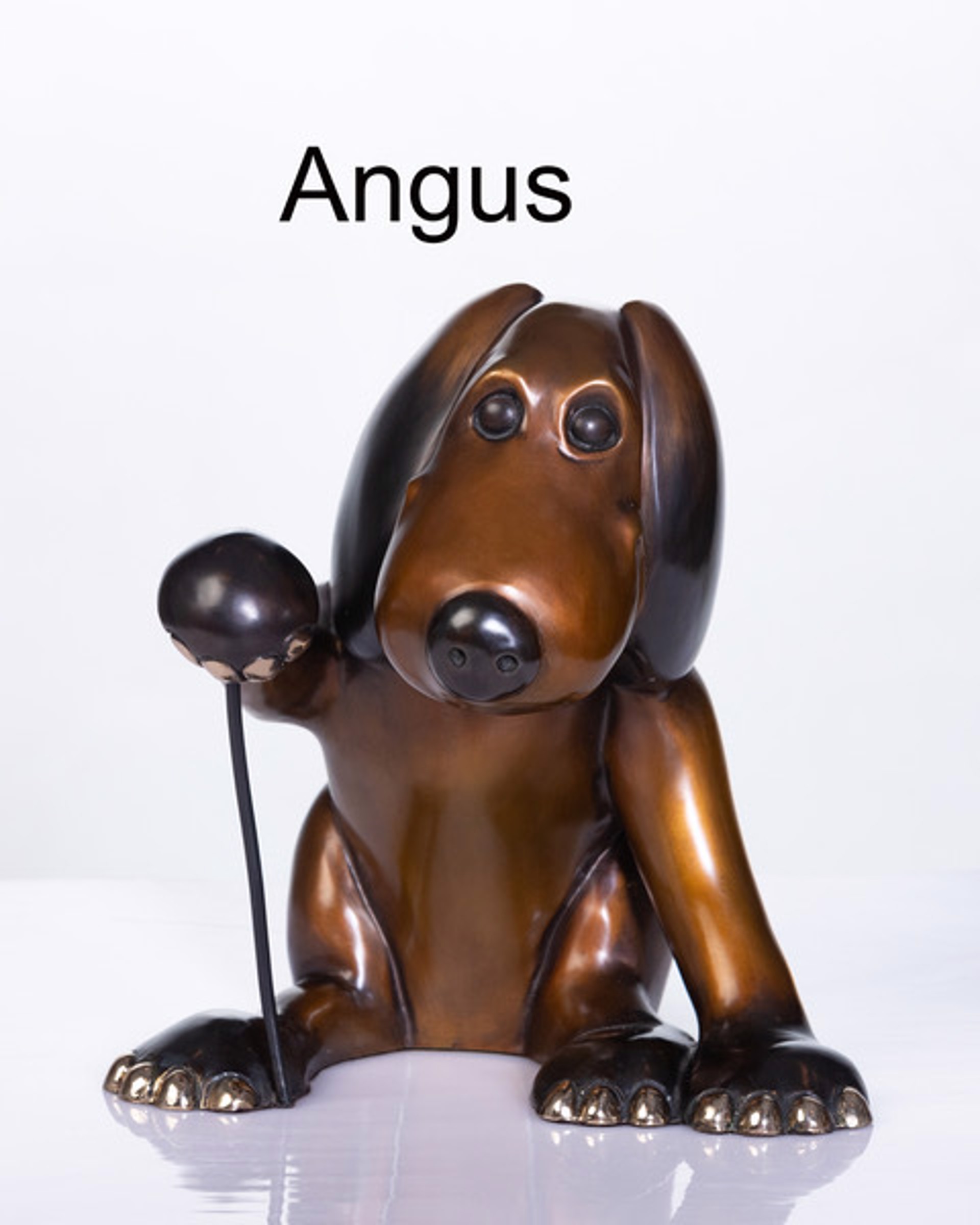 Angus by Marty Goldstein