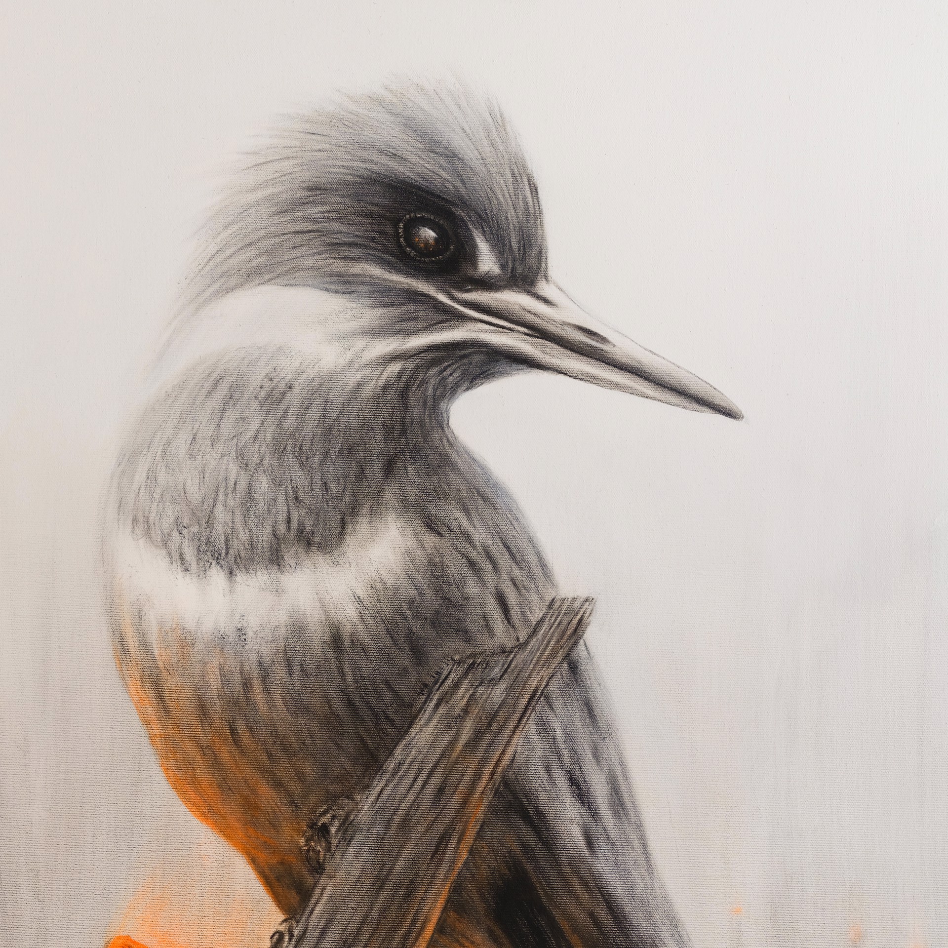 The last Kingfisher by Rubén Carrasco