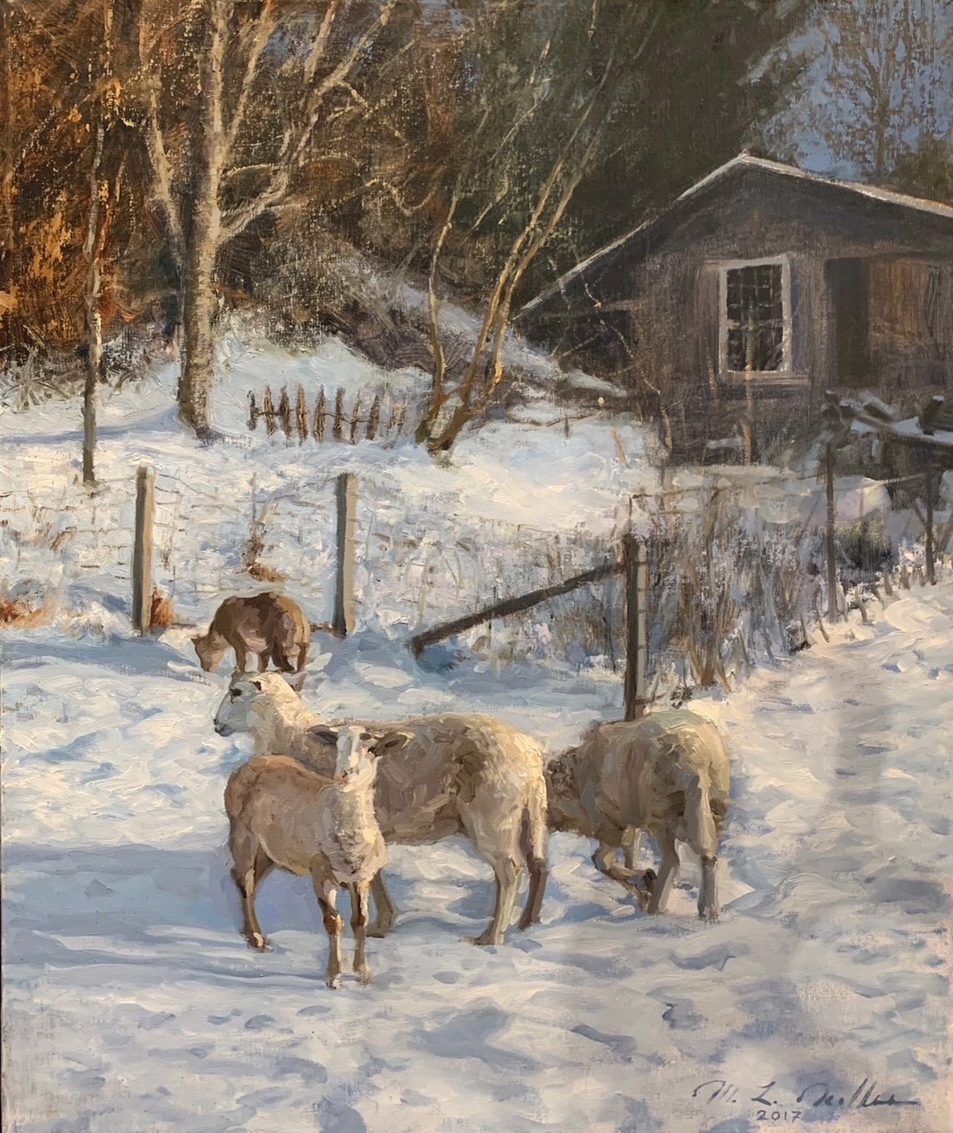 Sheep at Sundown by Mitch Kolbe