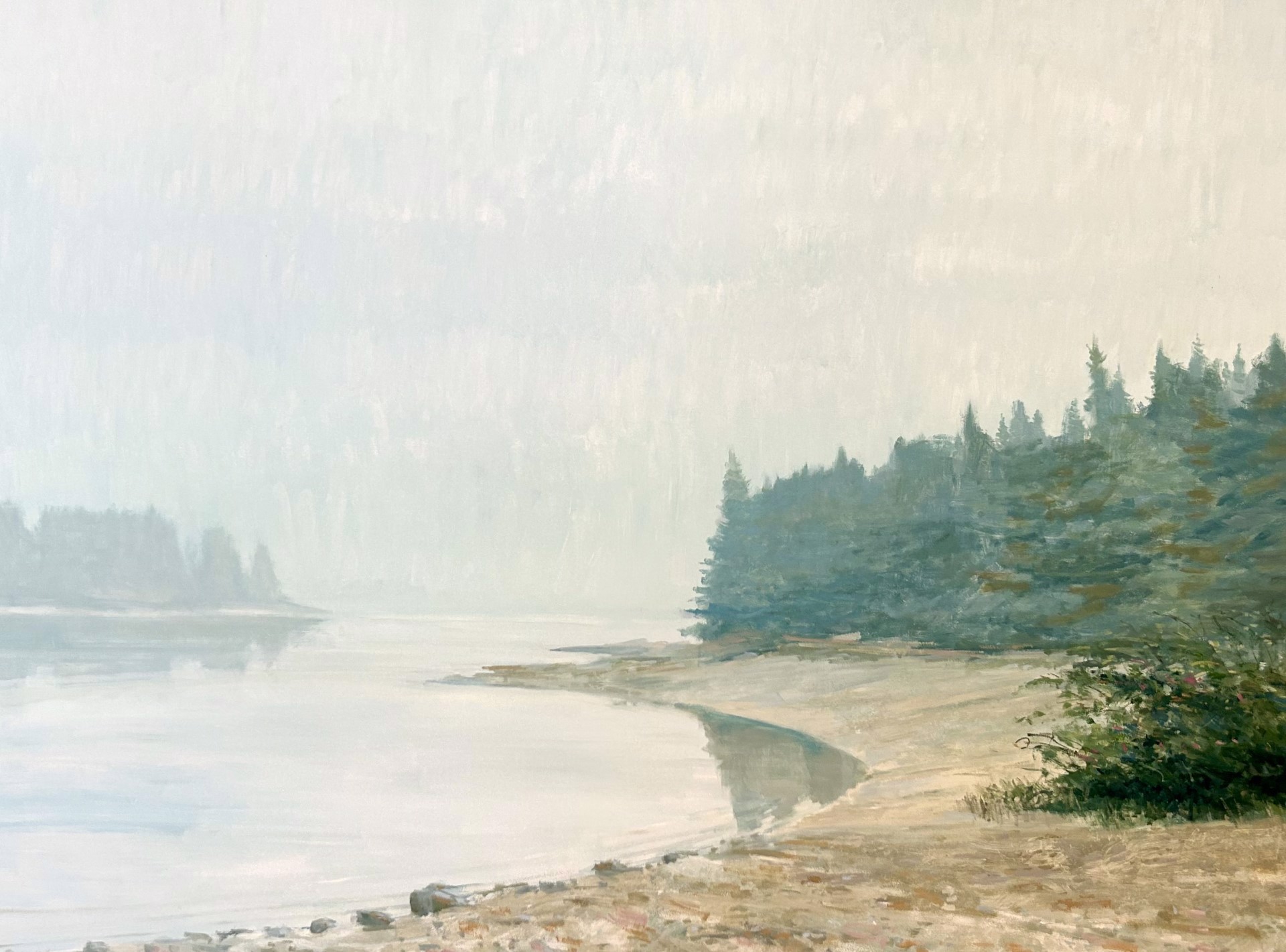 Limited Visibility by Cooper Dragonette