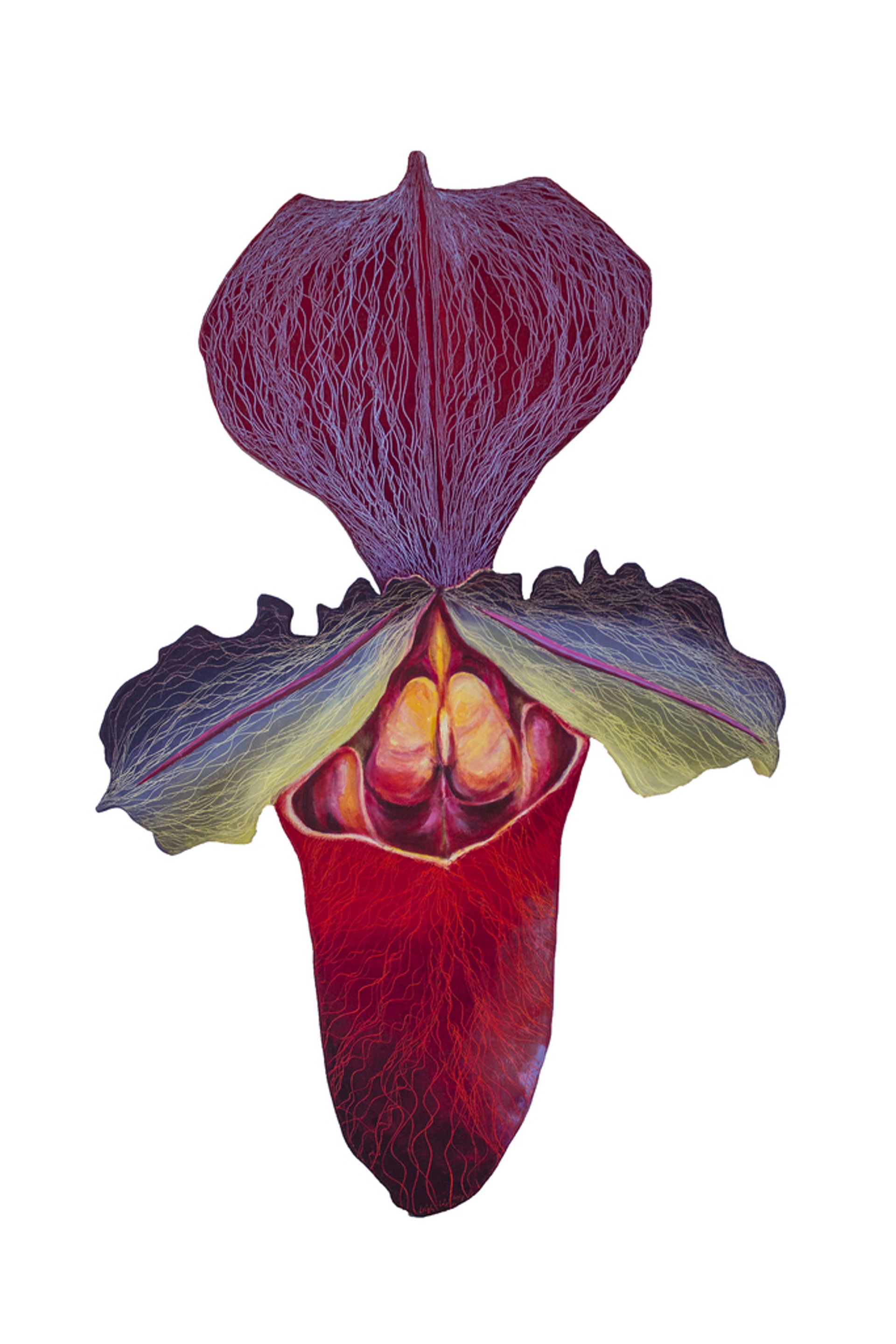 Lady Slipper 5 by Leigh Wen
