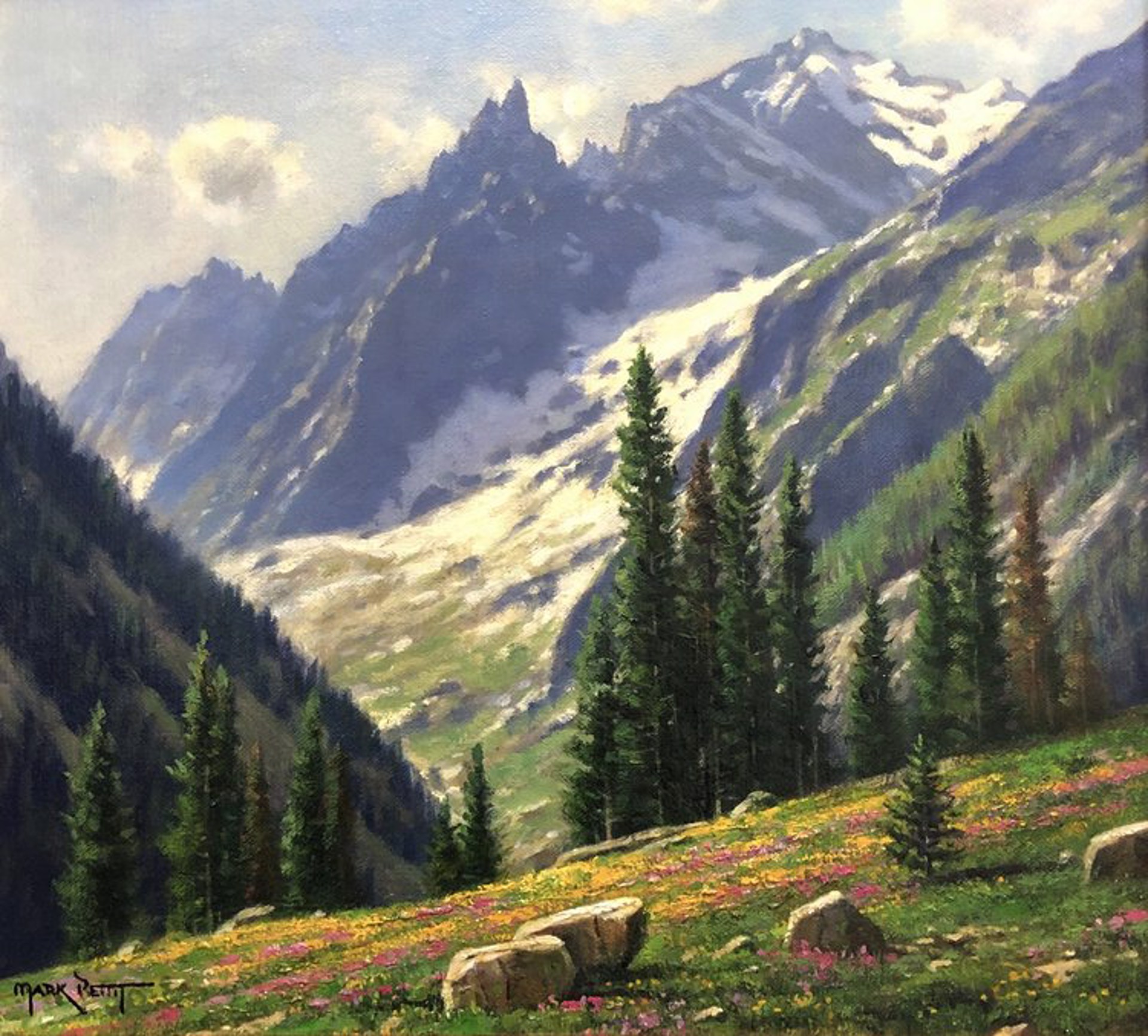 Alpine Meadow by Mark Pettit