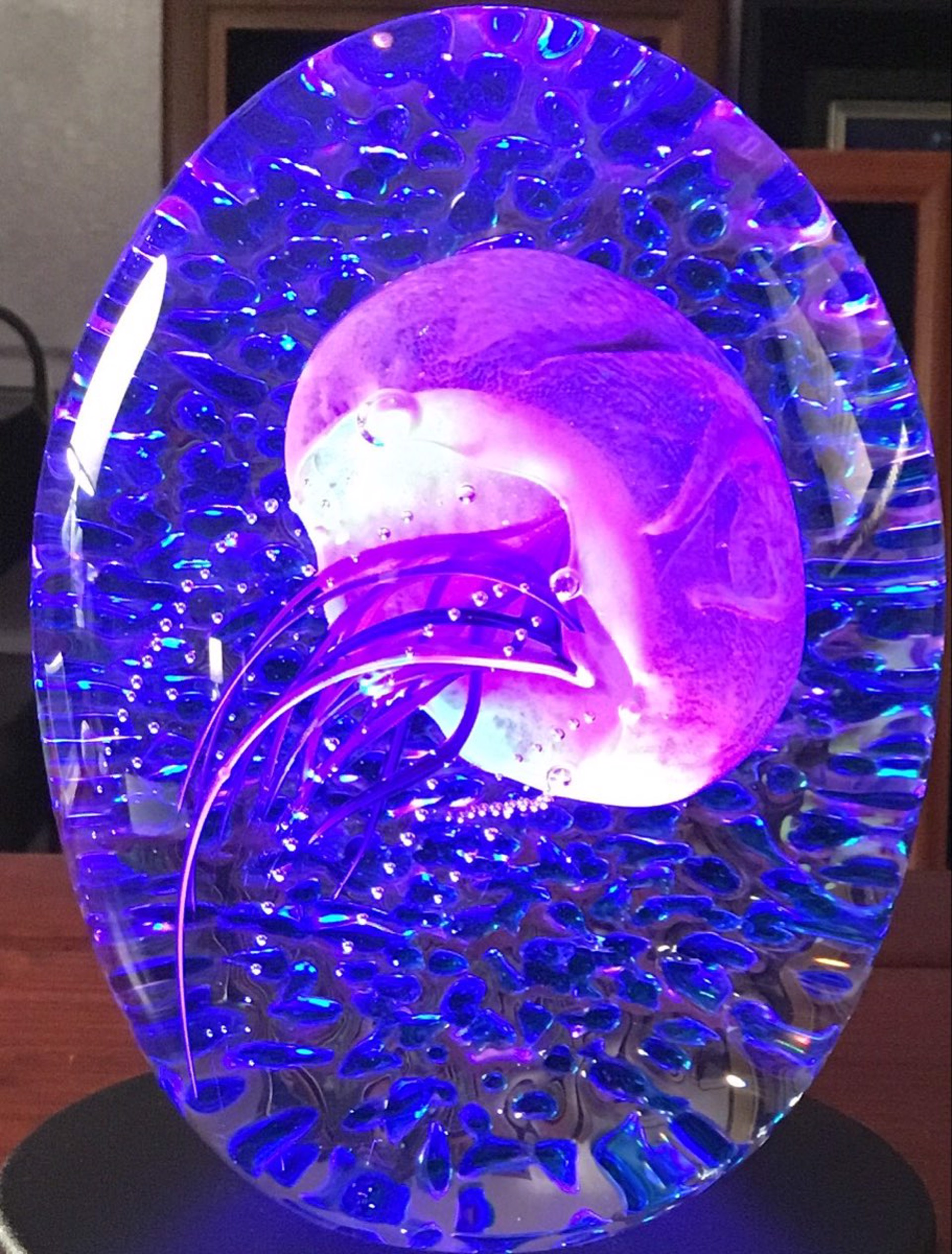 Purple/ Blue Ripple Jelly by Hot Island Glass