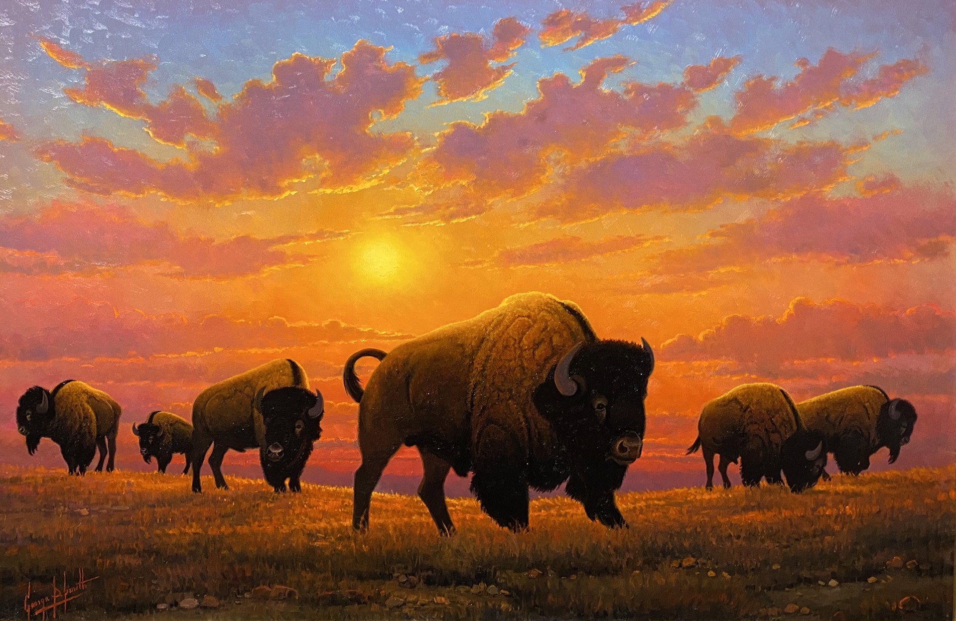 BUFFALO AT DAYS END by George "Dee" Smith