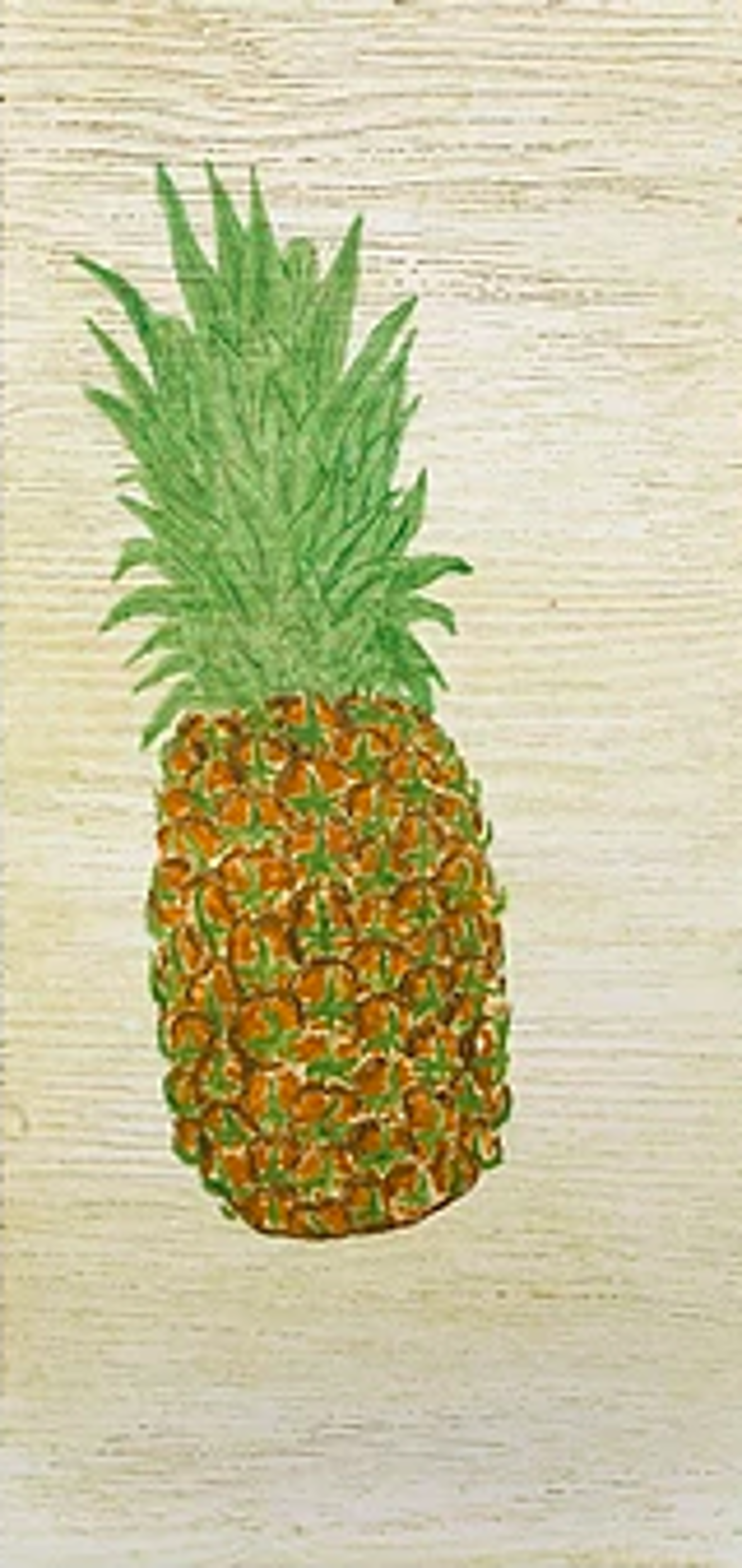 Single Pineapple (color) by David Hefner