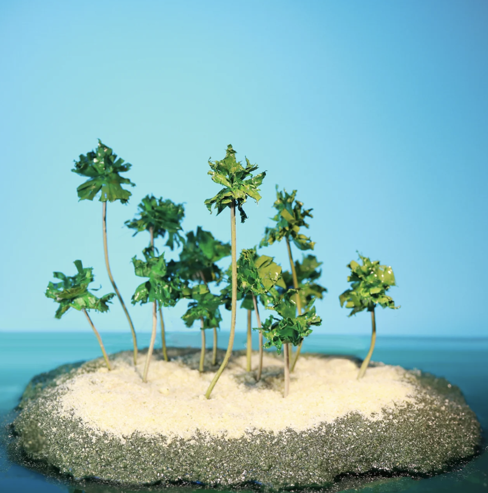 Deserted Island by Stephen Dorsett