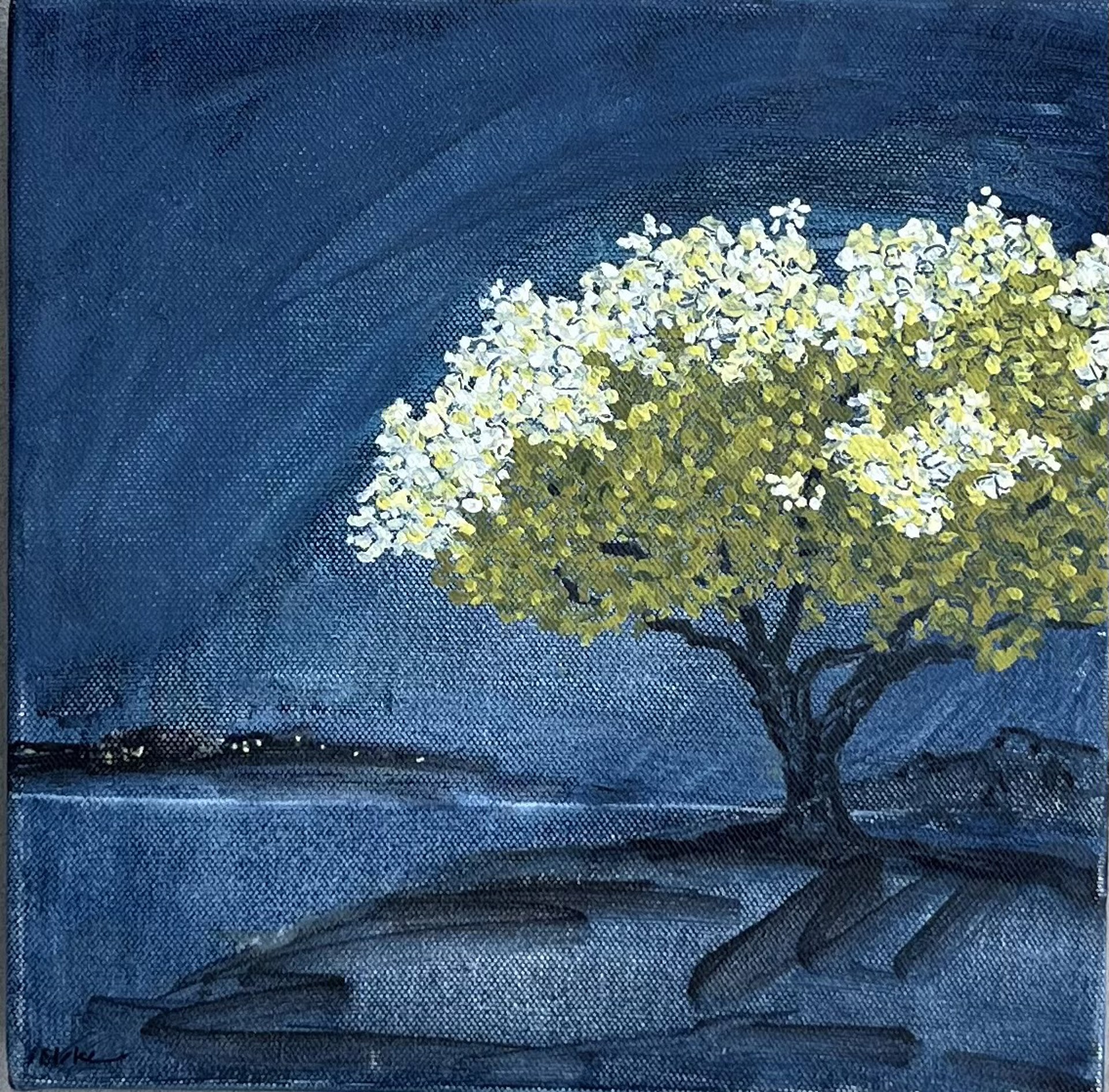 Tree at Night by Julia Blake