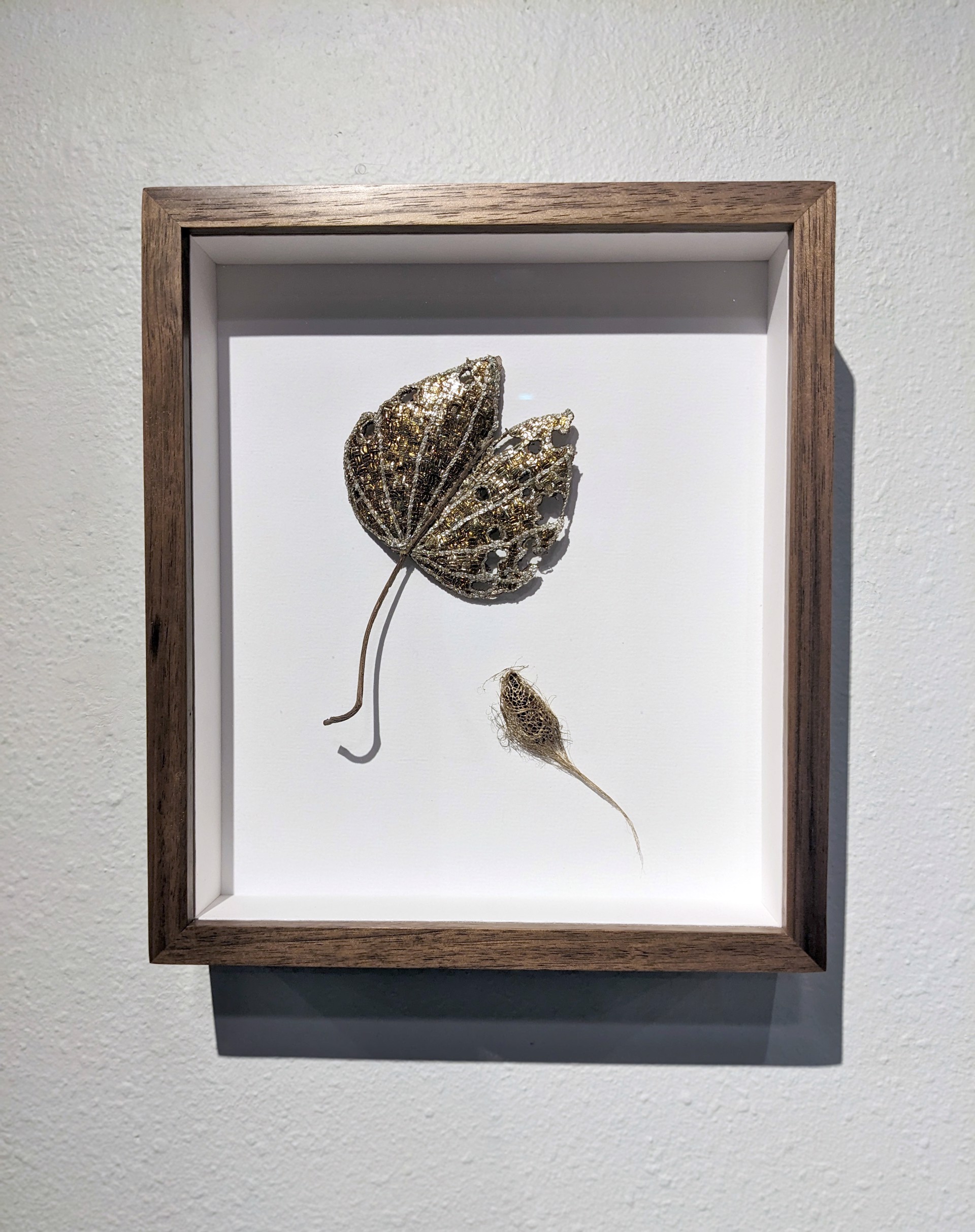 The Impermanence of Life: Bauhinia Leaf II by Tiao Nithakhong Somsanith