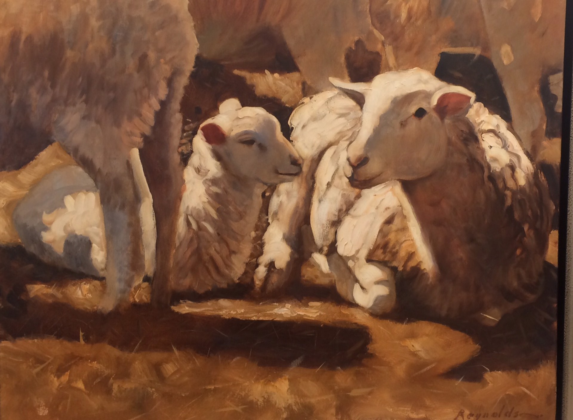Family Of Sheep by John Reynolds