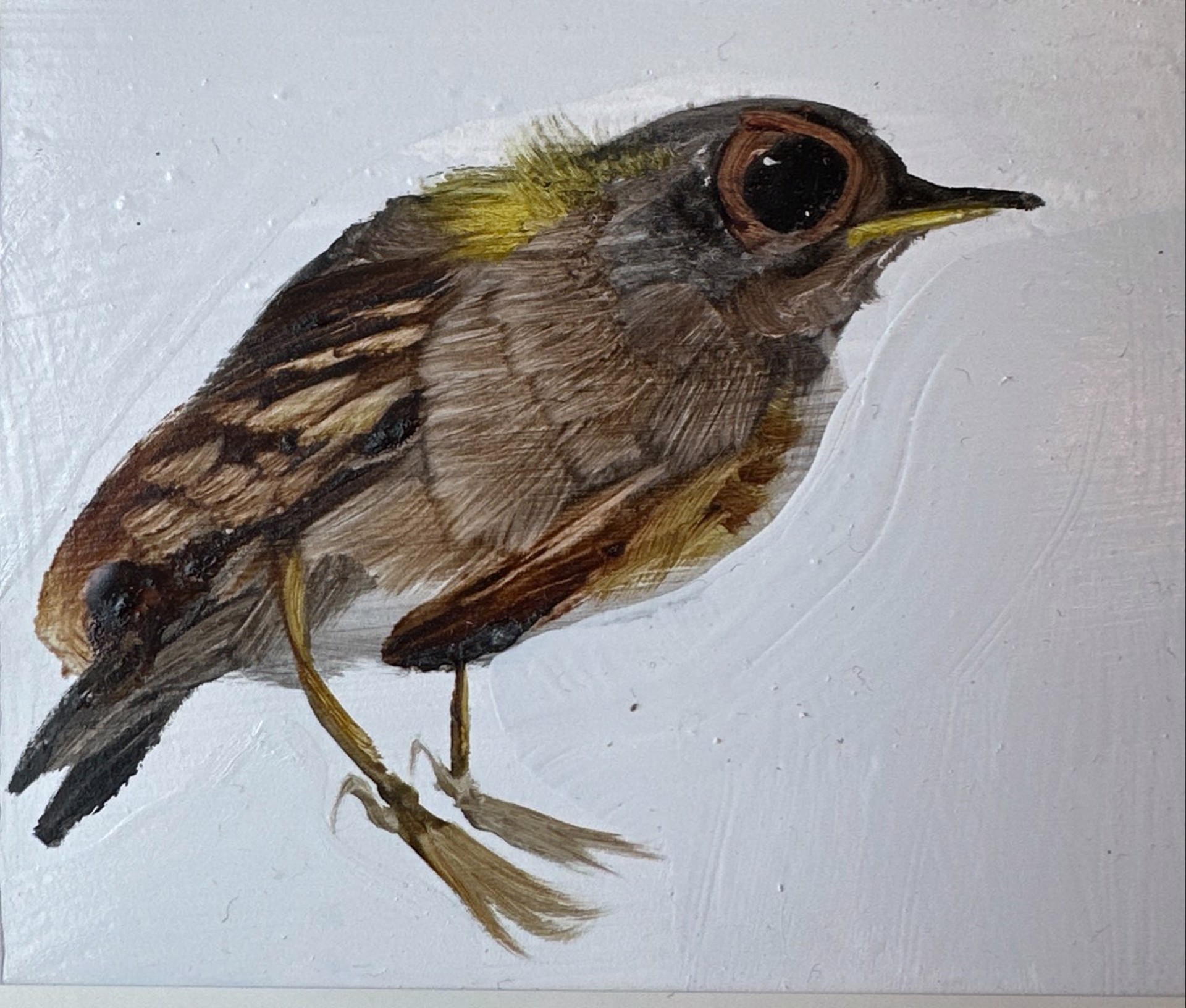 Bird Block (yellow) by Diane Kilgore Condon