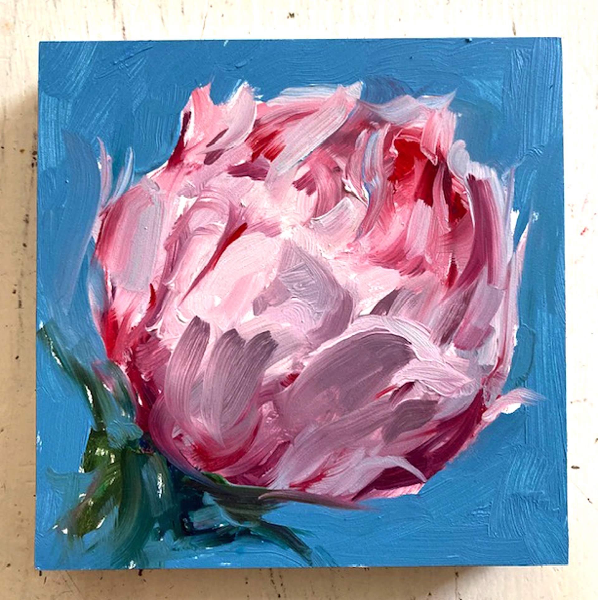 Peony Project #40 by Amy R. Peterson*