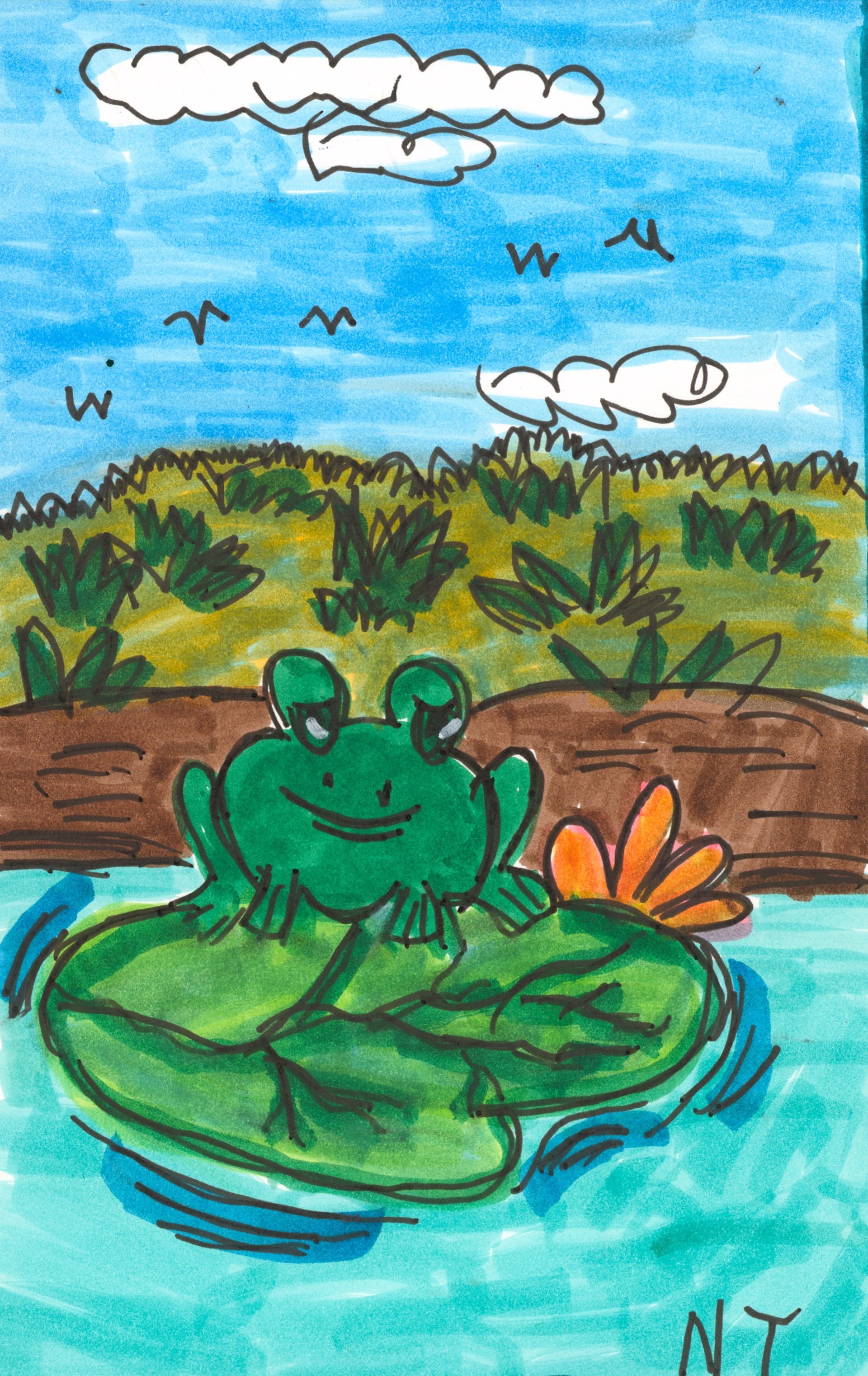 Little Frog in the Pond by Nonja Tiller