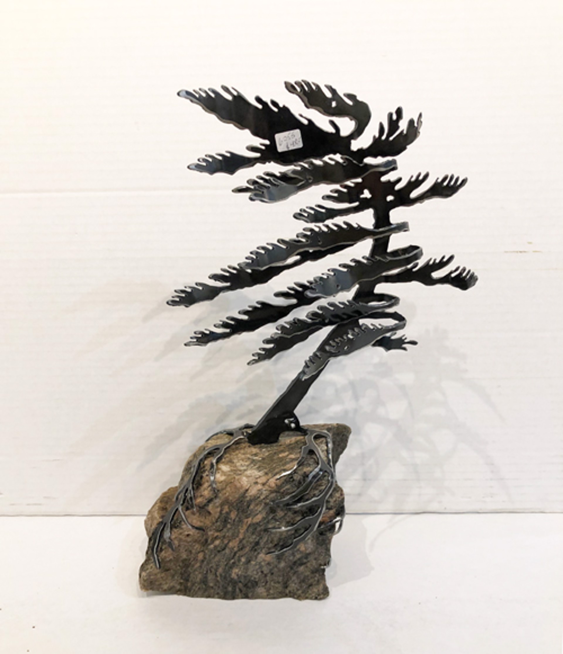 Windswept Pine - 6255 by Cathy Mark