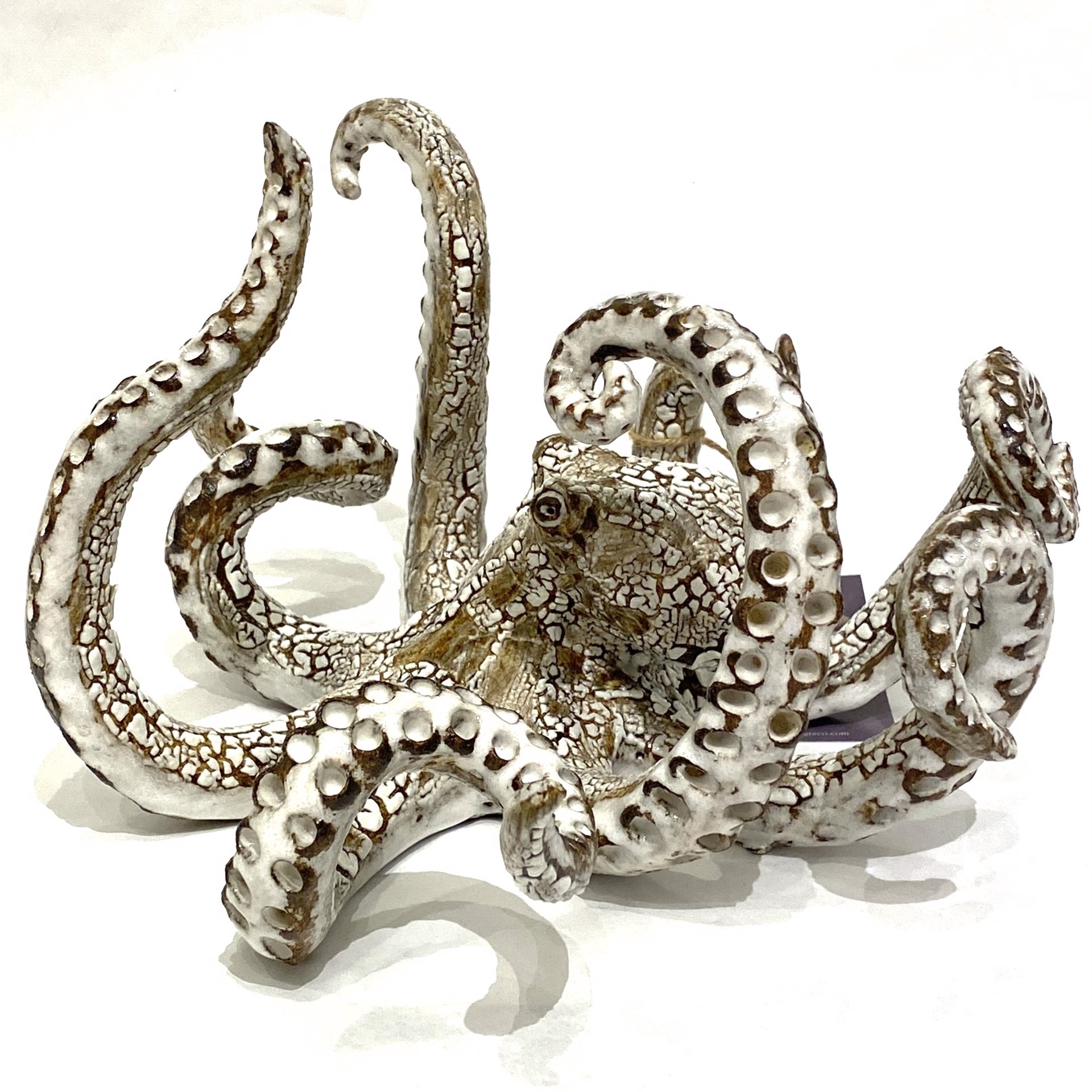 Small Table Octopus by Shayne Greco