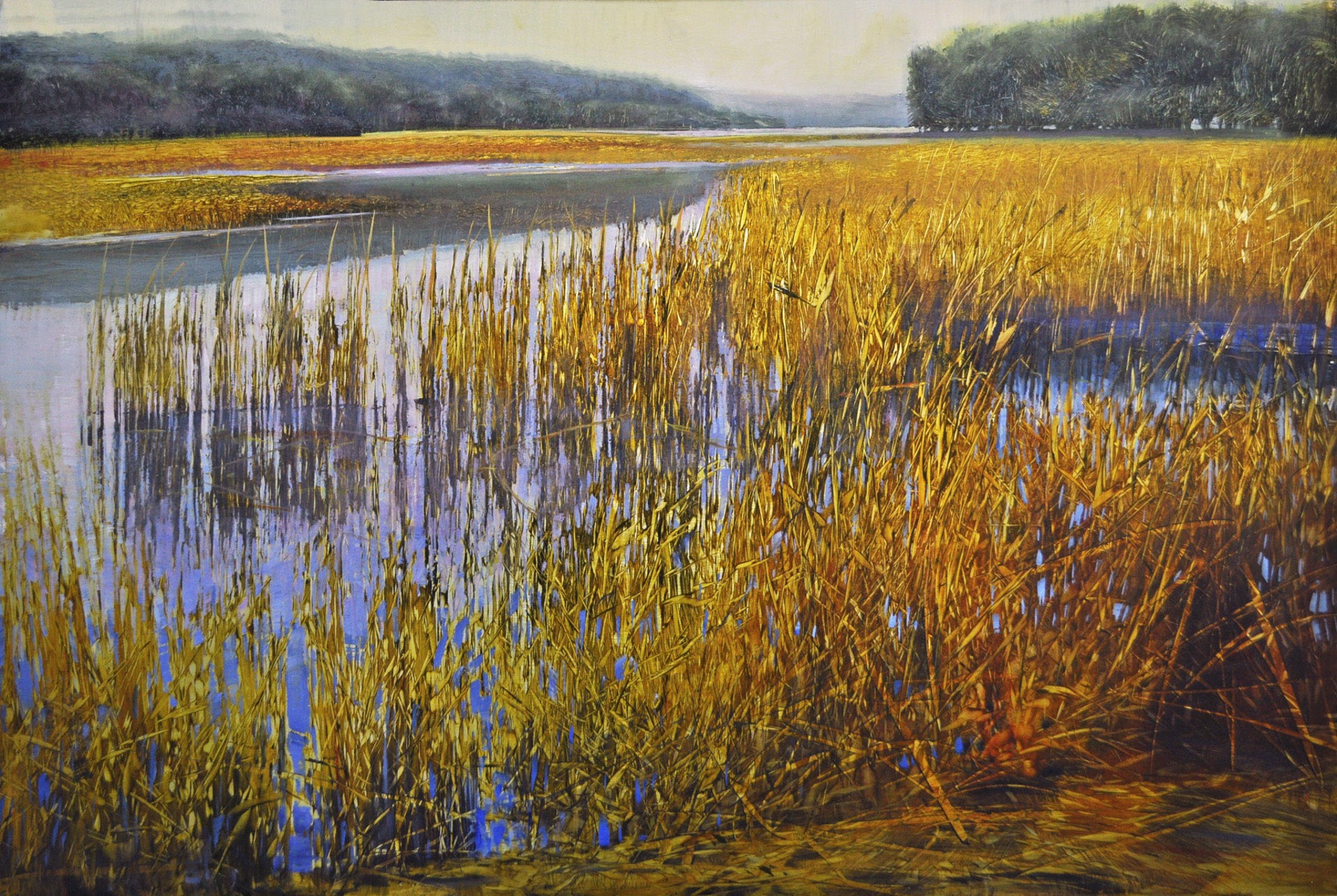 River Cattails by David Dunlop