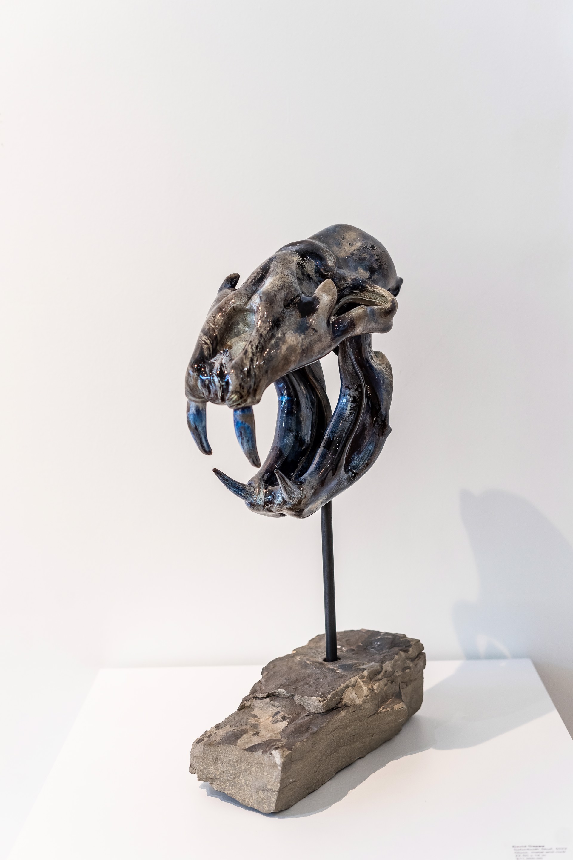 Sabertooth Skull by David Gappa