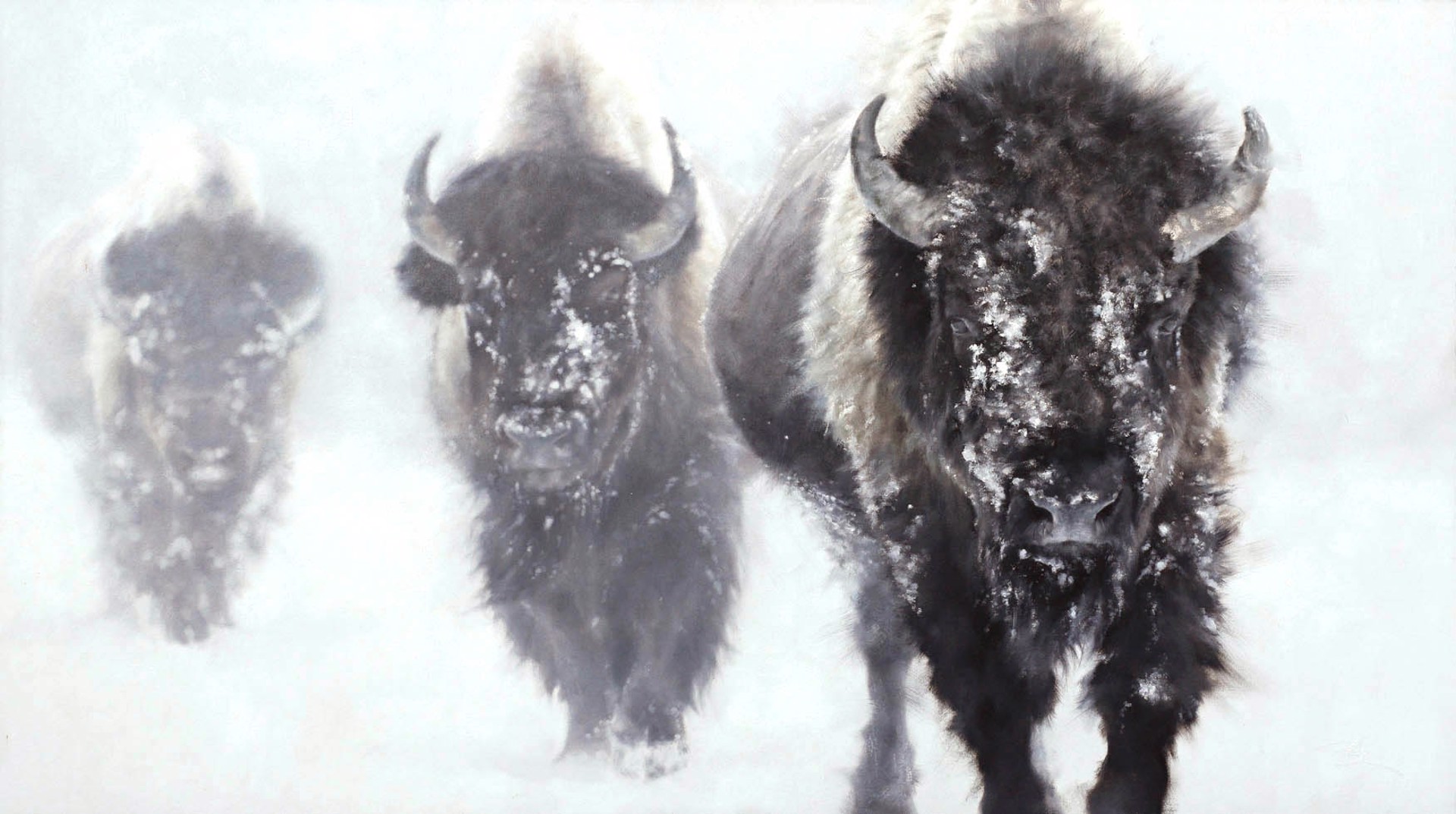 Original Oil Painting Featuring Three Walking Bison On Snowy Hazy White Background
