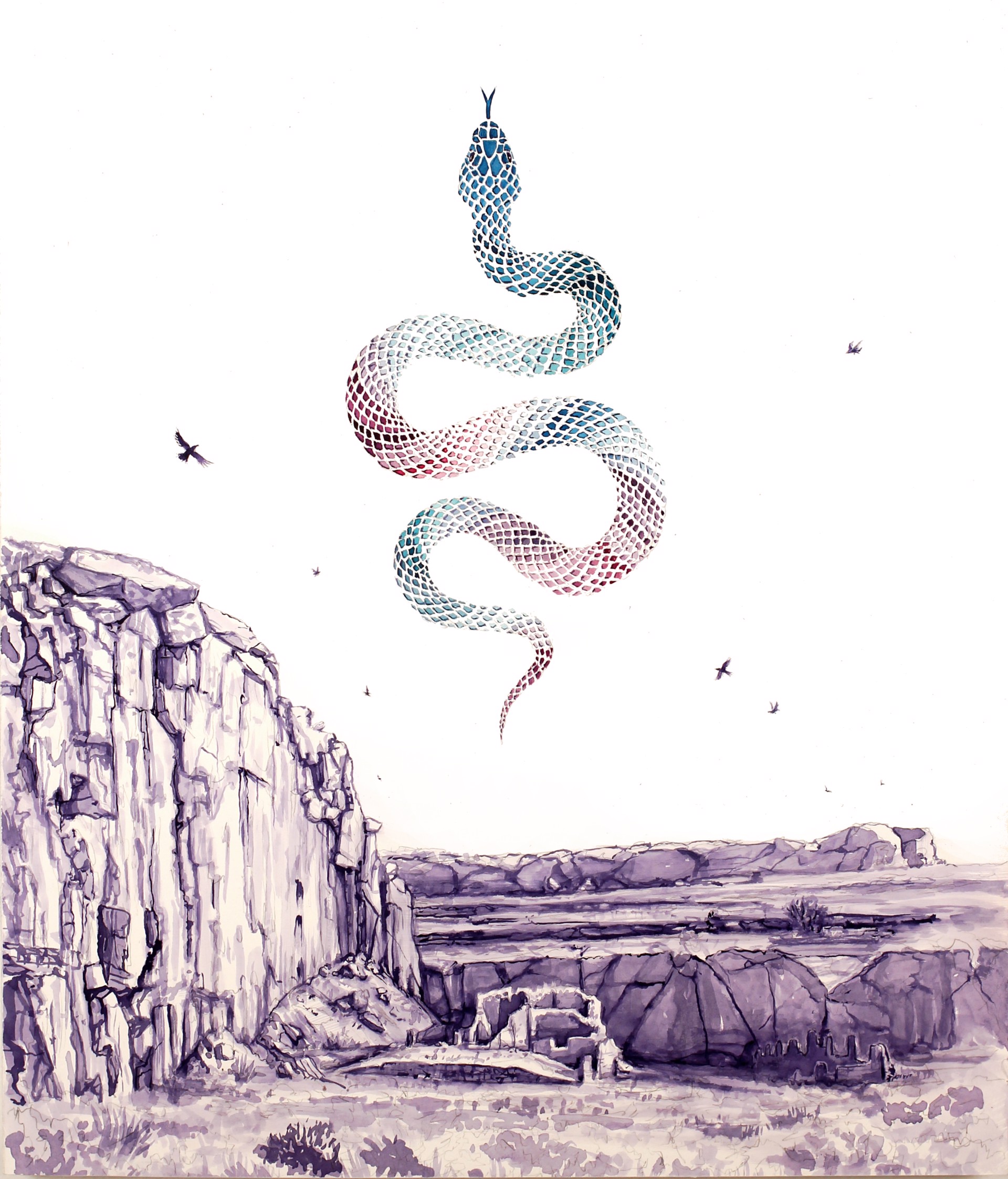 Vision Snake Over Chaco by Todd Ryan White