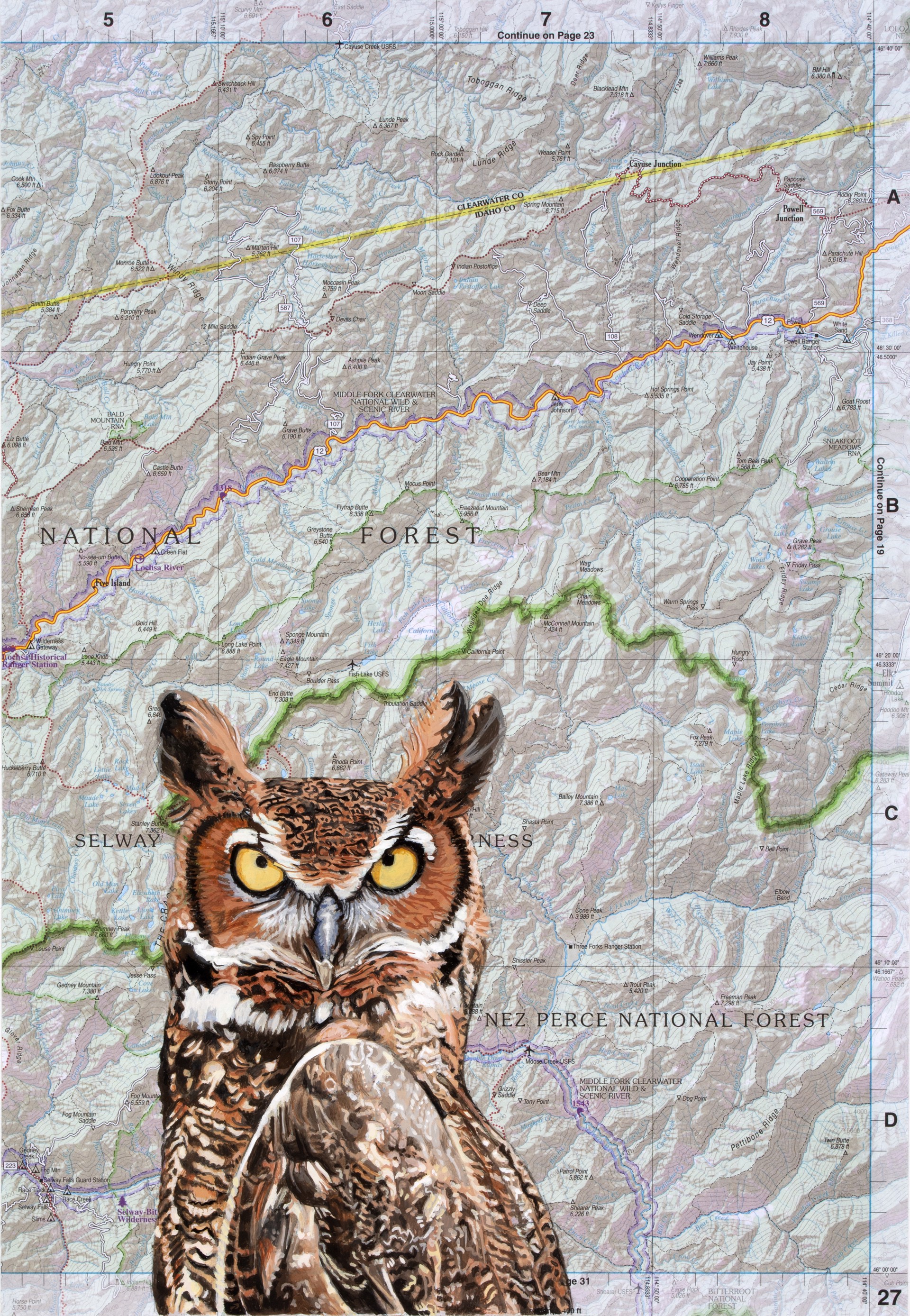 Owl on Map by Diane Andrews Hall