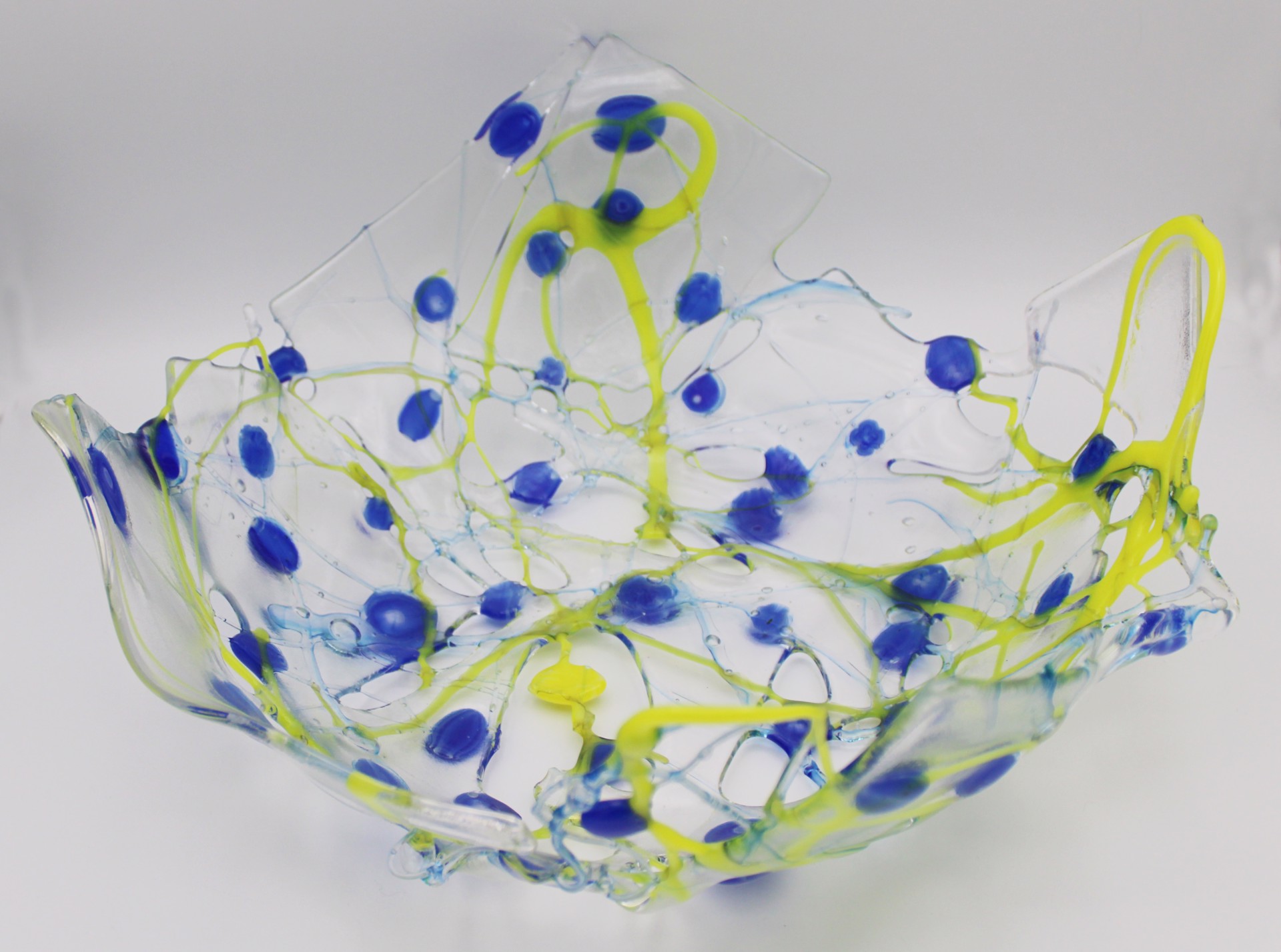 Blueberries & Sunshine Bowl by Katy Stulc