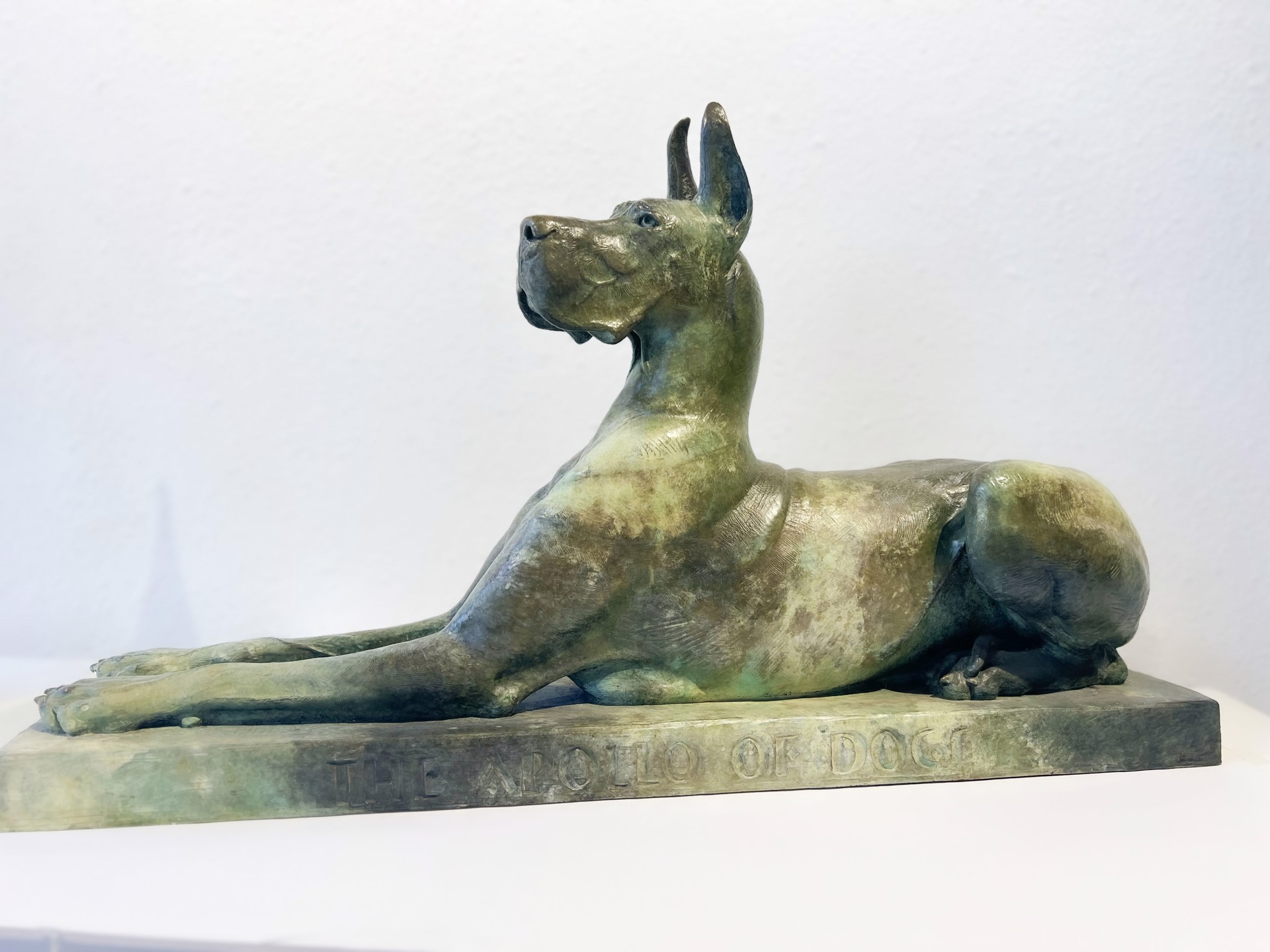 Apollo of Dogs (Cropped) by LOUISE PETERSON