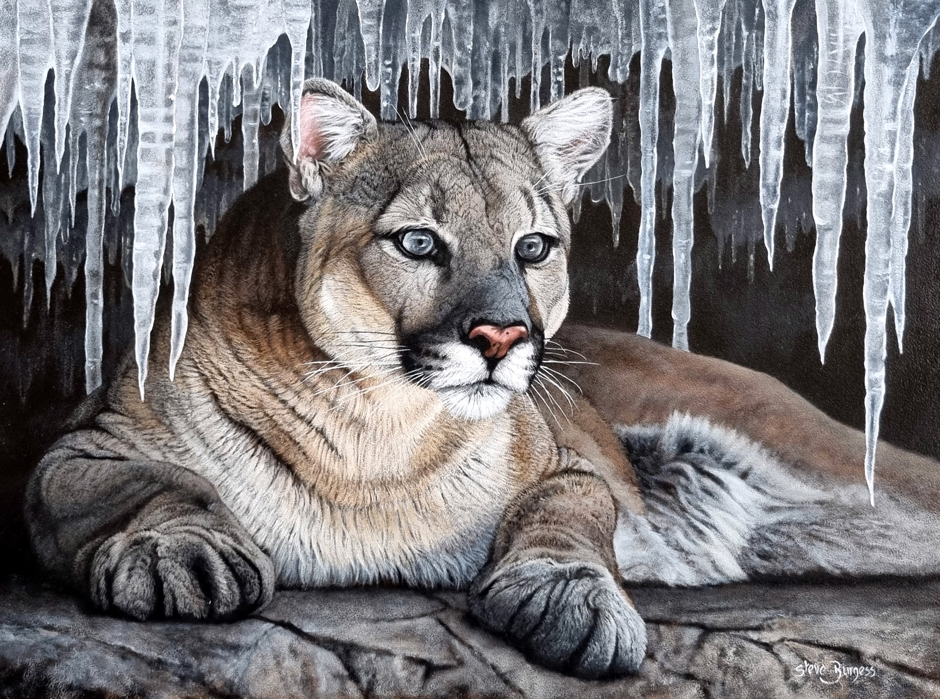 An Icy Stare by Steve Burgess