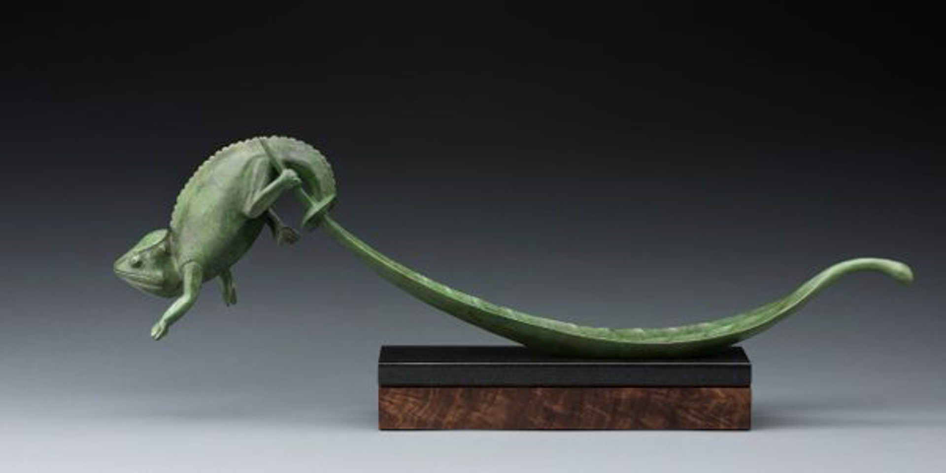 Chameleon and Leaf by Tony Hochstetler