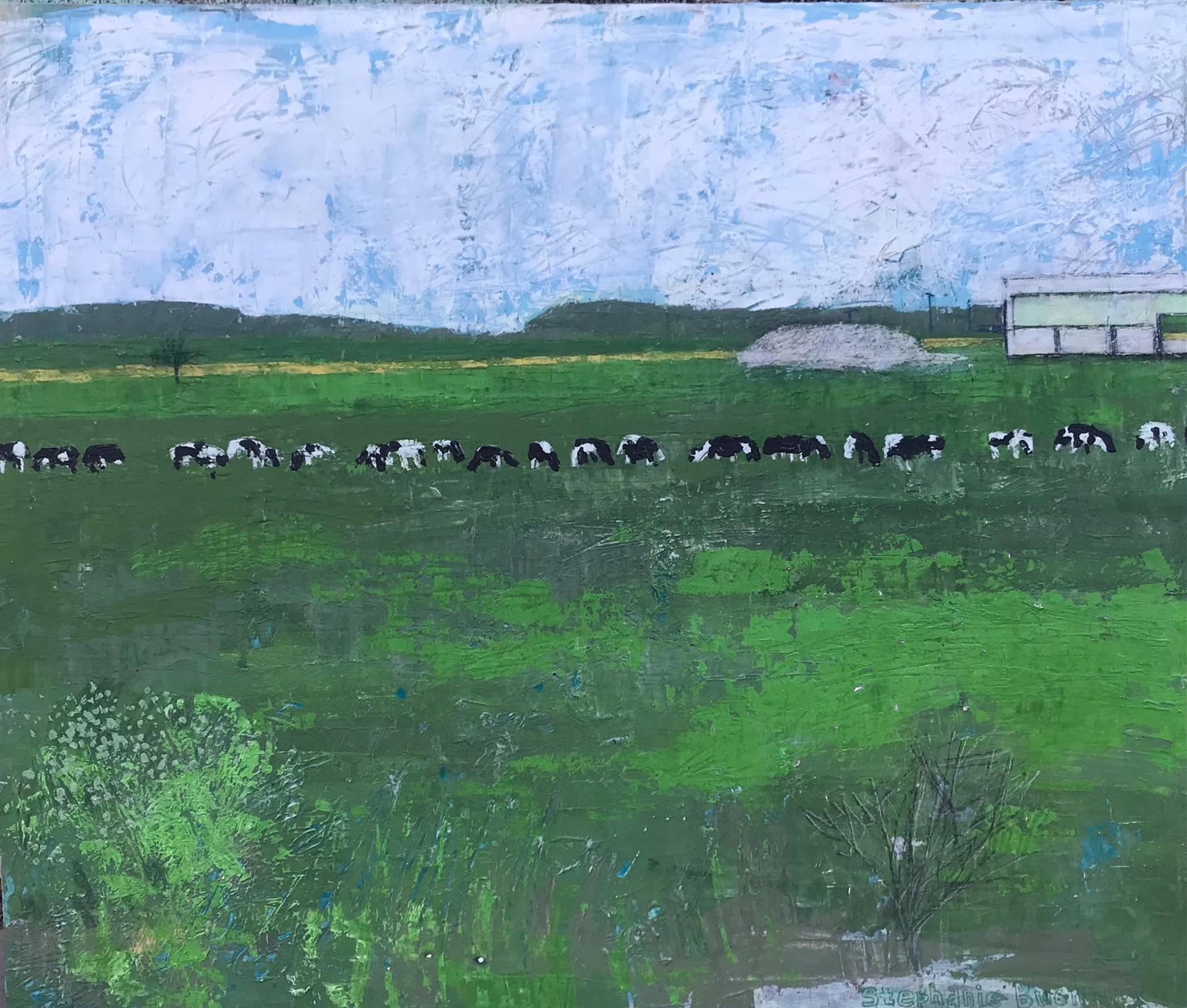 The Road To Paris 1 (Cows) by Stephanie Bucholz