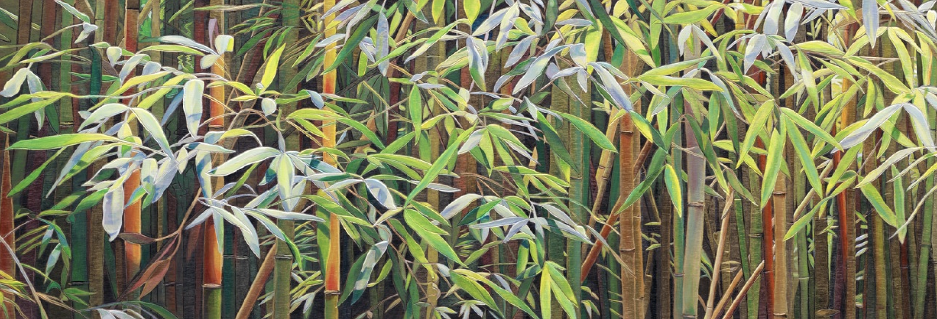 Song of Light in the Shade of the Bamboo Forest by Joelle C.