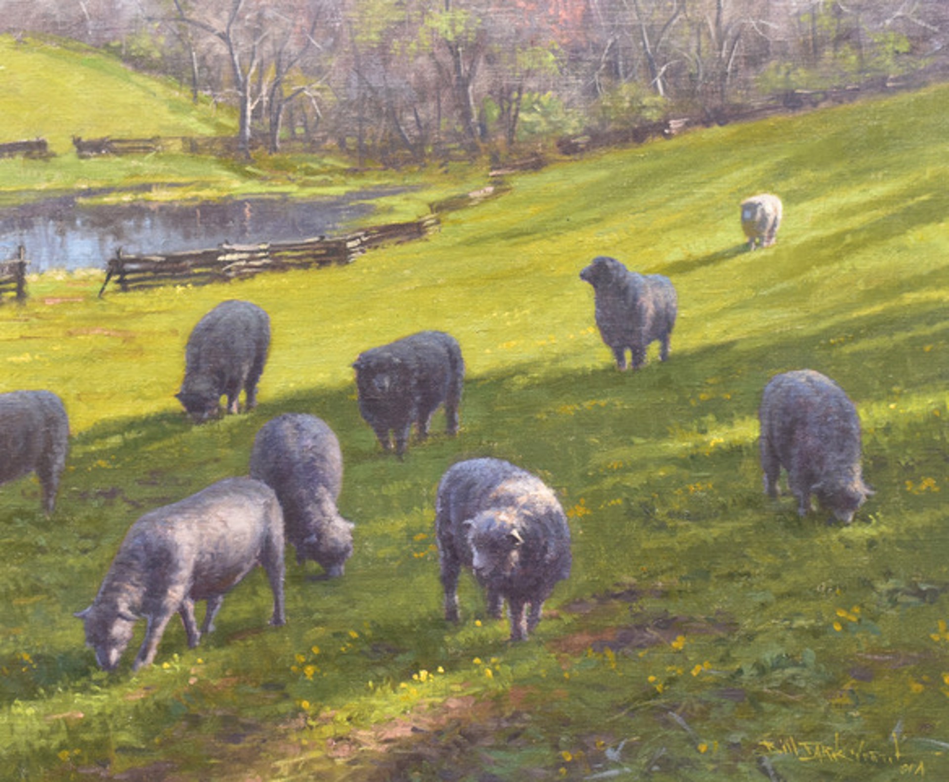 Pasture and Wool by Bill Farnsworth