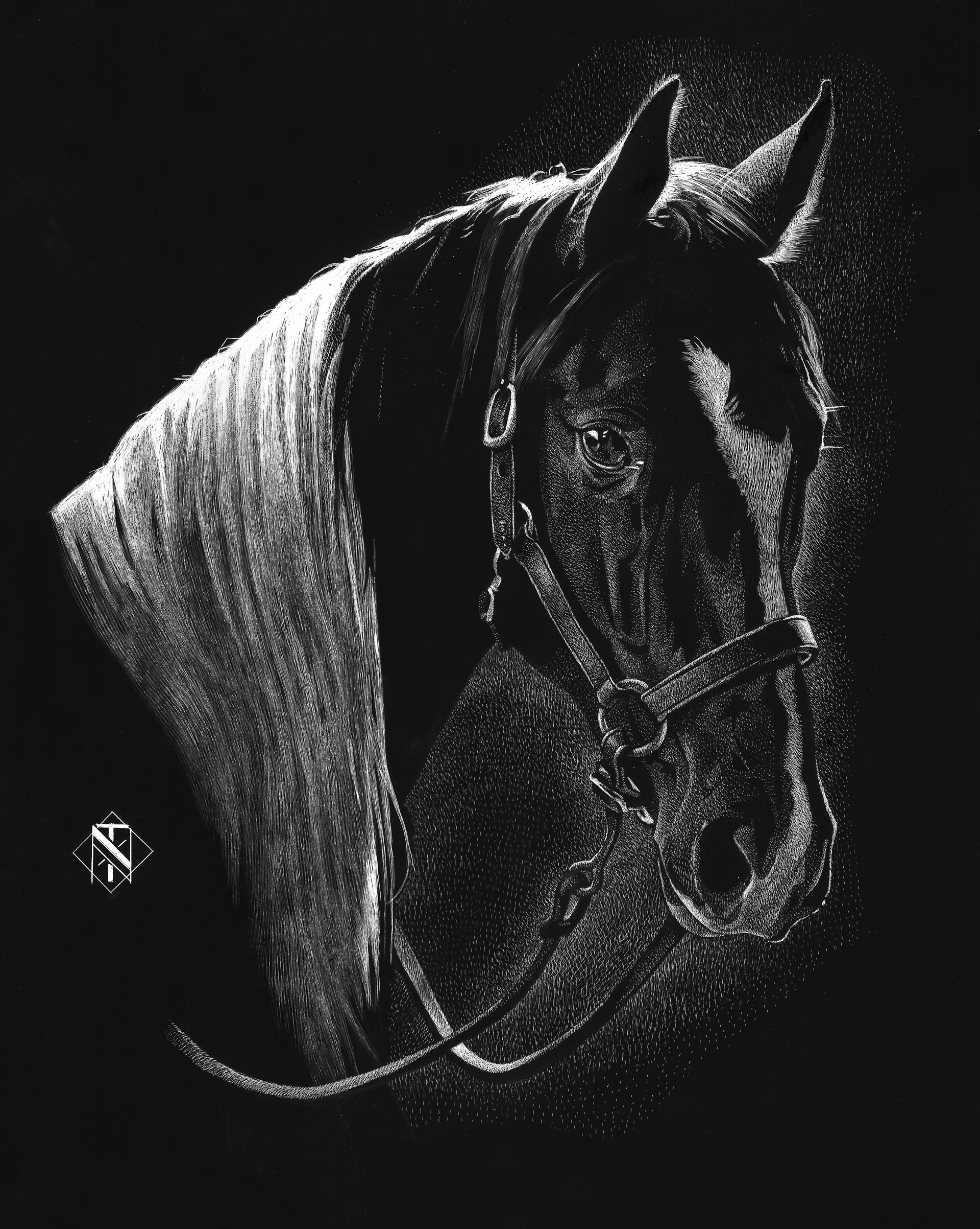 Horse by Nelson Tucker