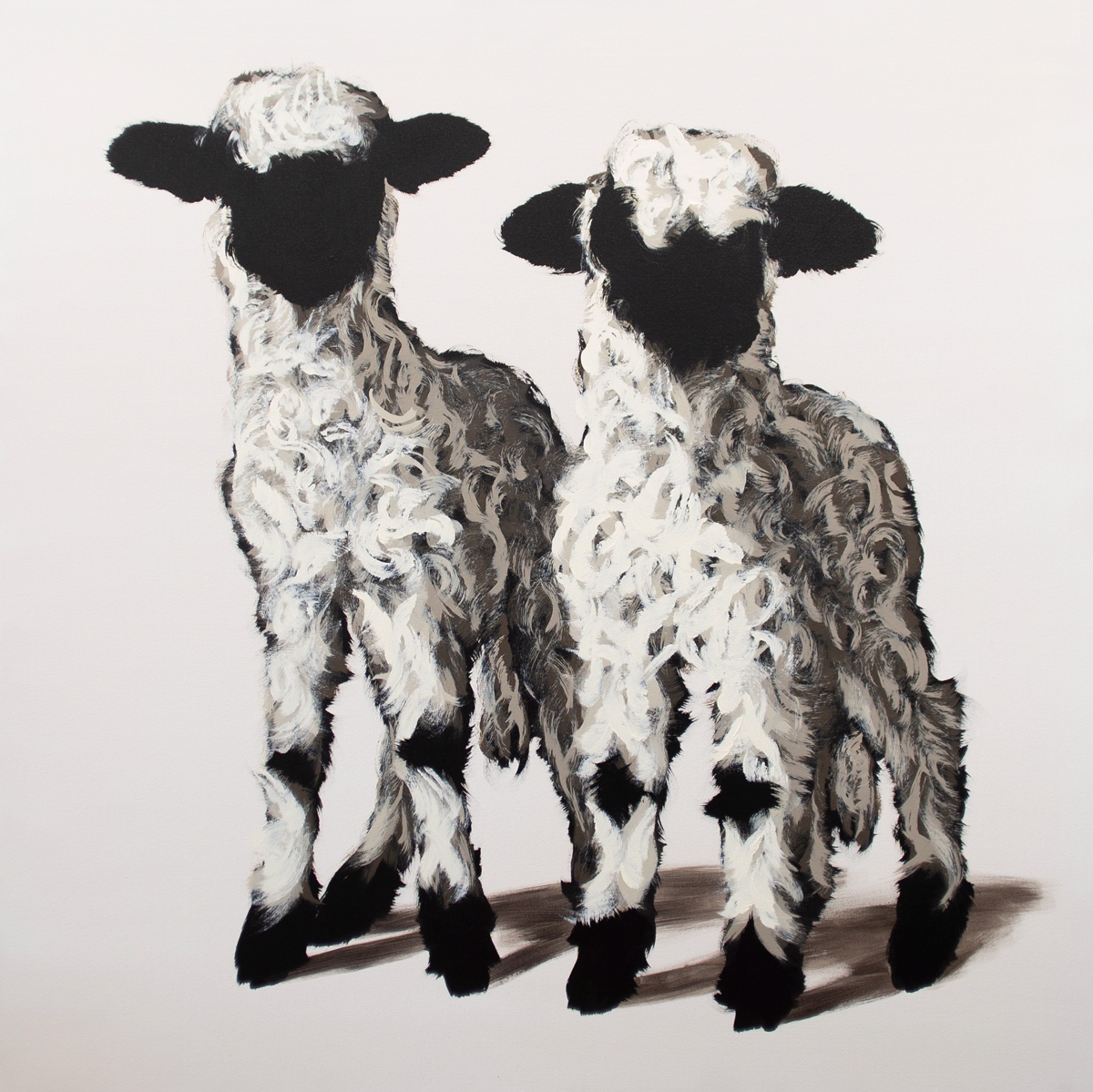 Two Lambs on White by Josh Brown