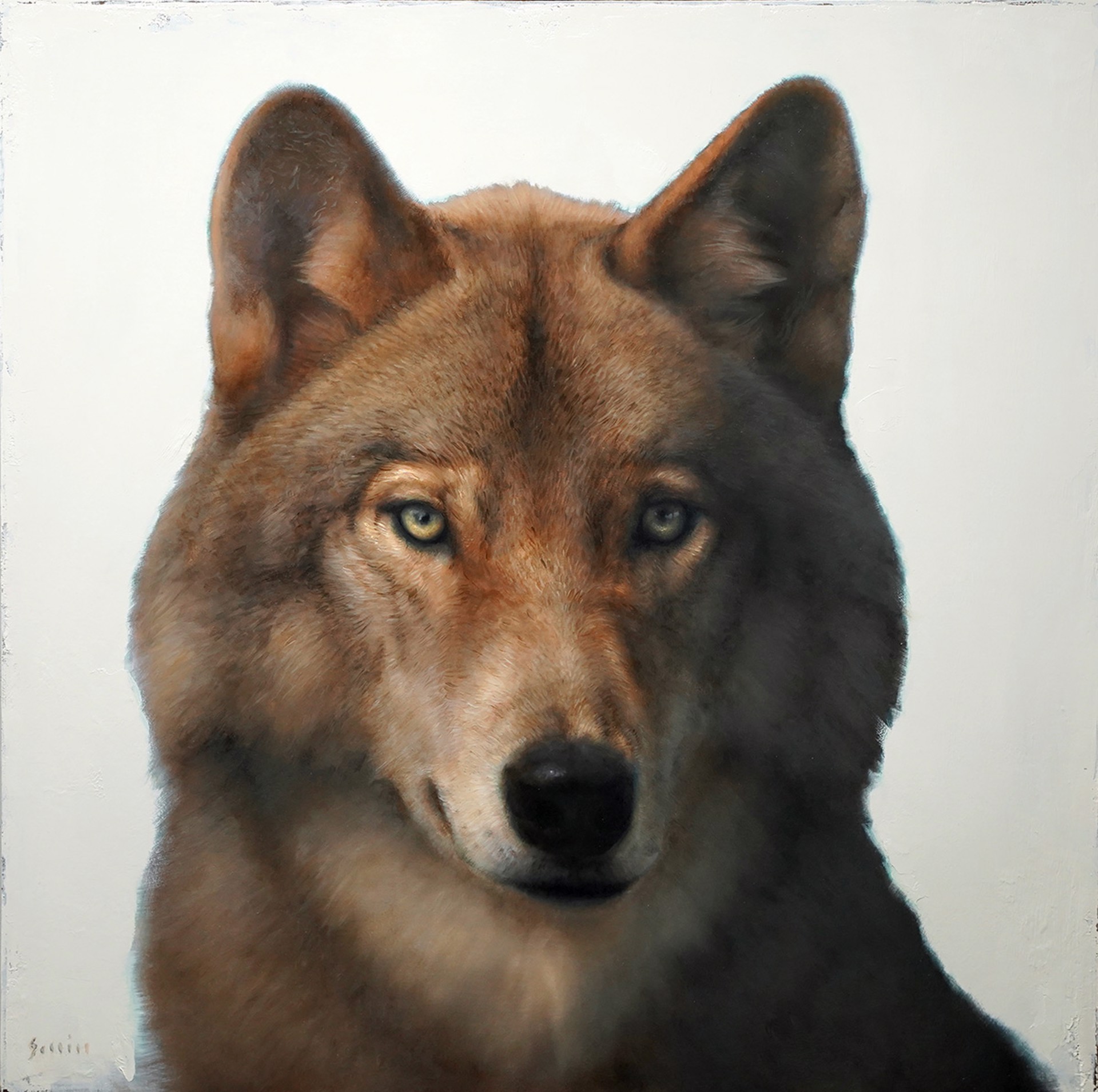 Original Oil Painting By George Hill Of Wolf With White Background