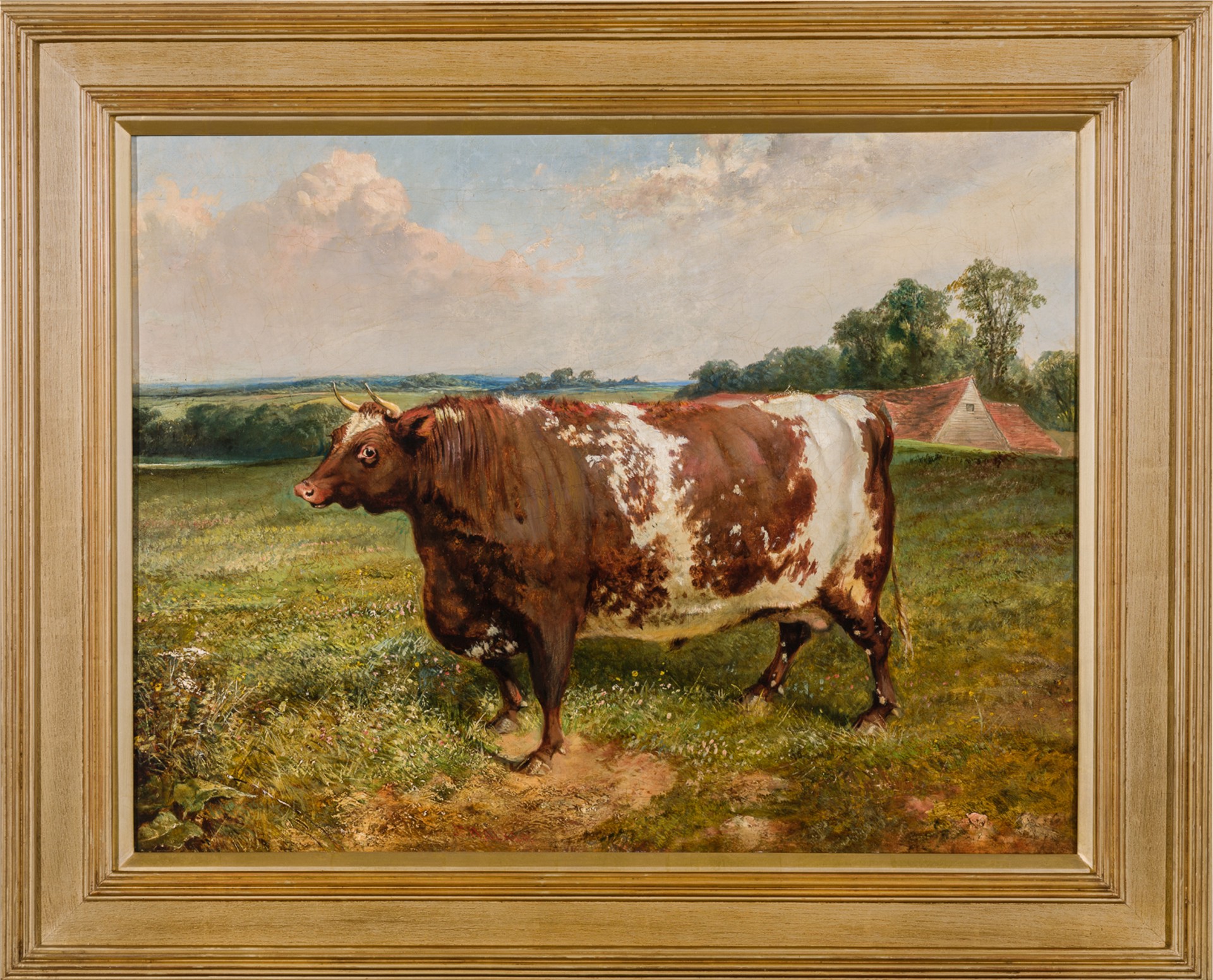 SHORTHORN BULL by Joseph Francis Walker