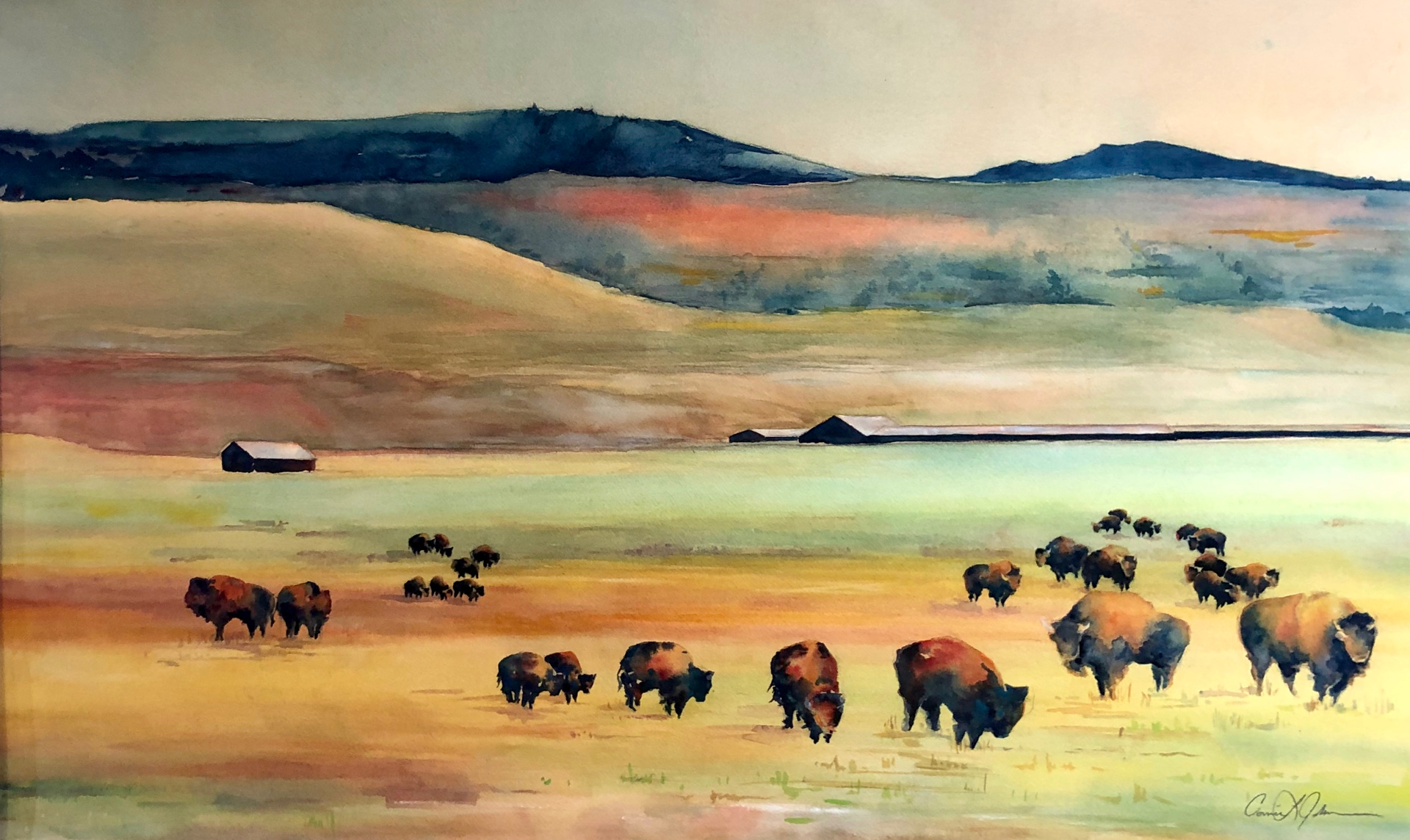 Buffalo Spirit by Connie Johnson