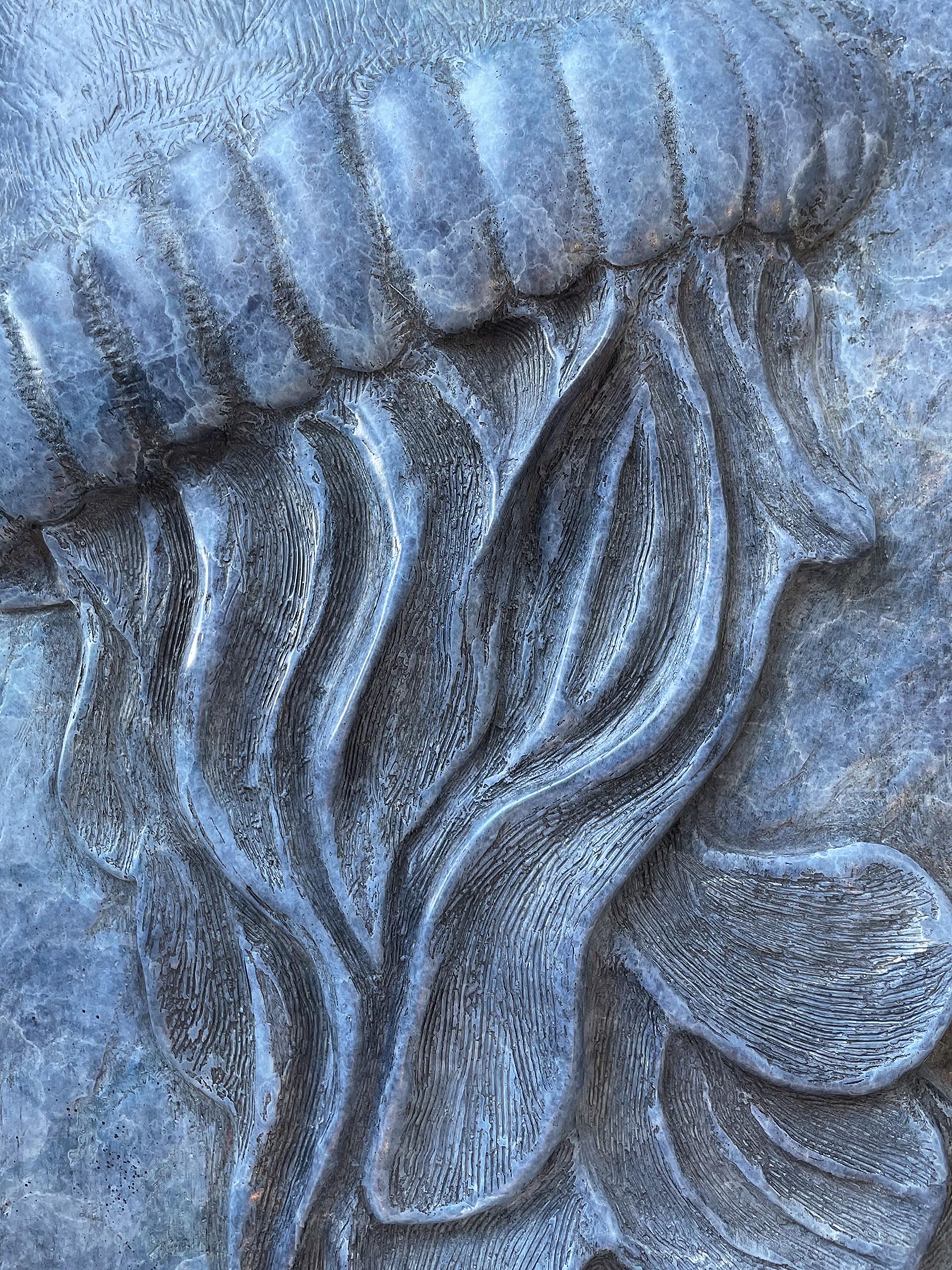 Jellyfish Relief by Tony Hochstetler